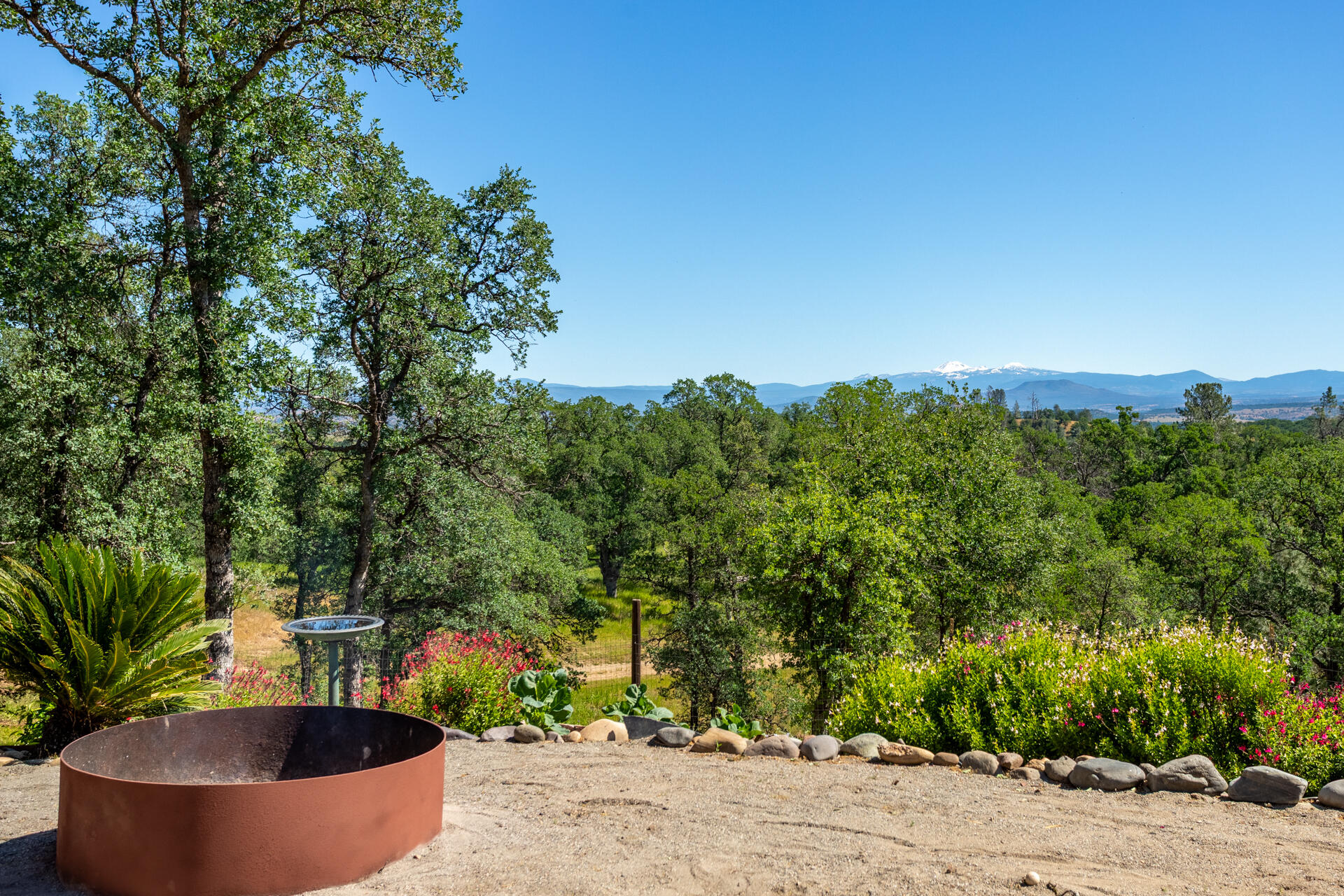 21100 Doe Run Way Red Bluff, CA 96080 - Photo 61 of 93 a view of a swimming pool and trees in the background