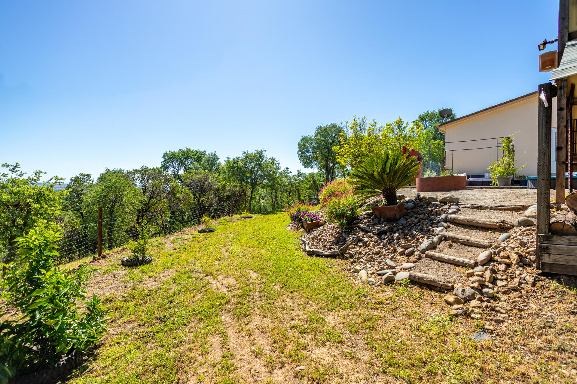 21100 Doe Run Way Red Bluff, CA 96080 - Photo 63 of 93 landscape