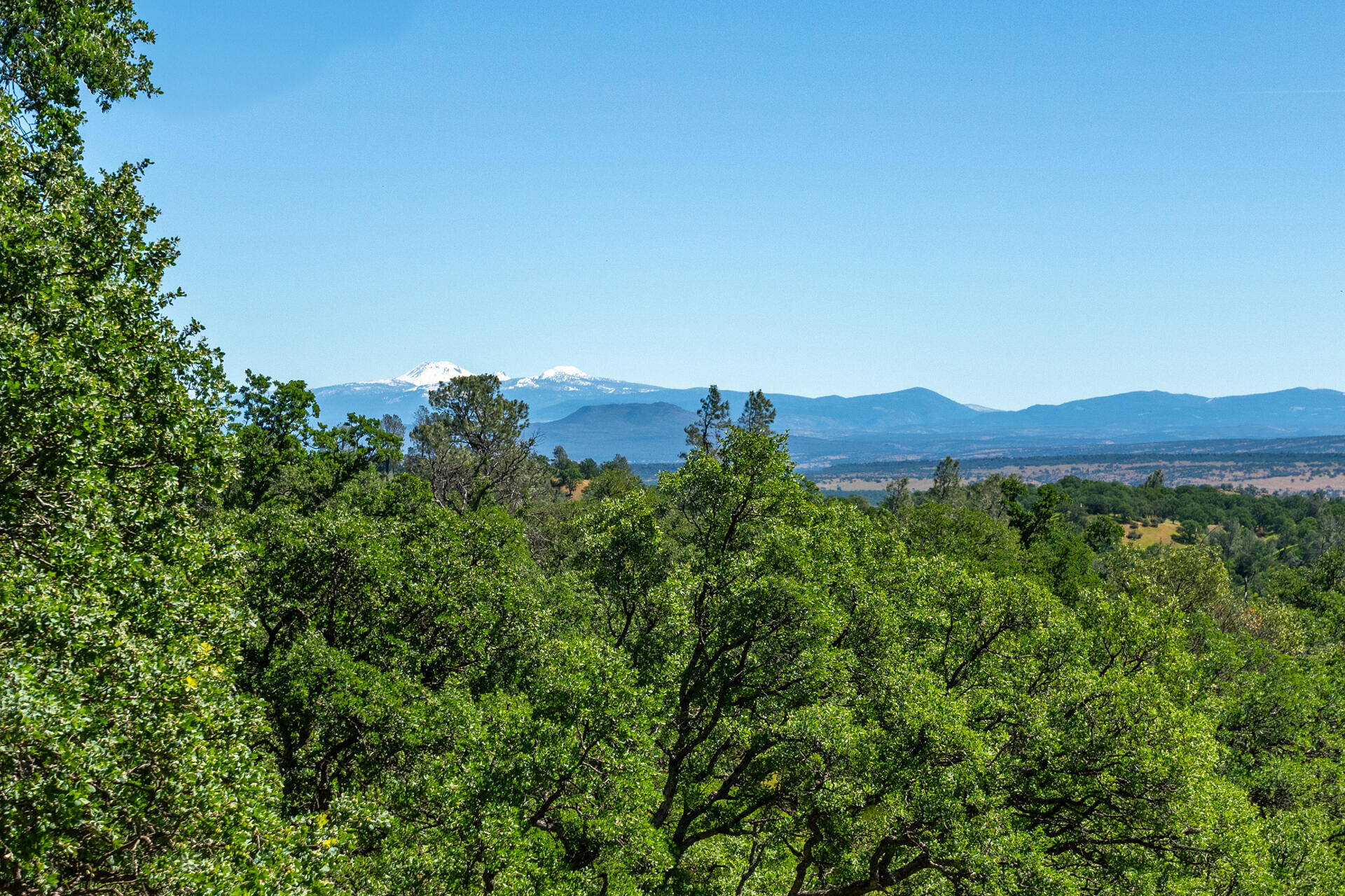 21100 Doe Run Way Red Bluff, CA 96080 - Photo 64 of 93 View