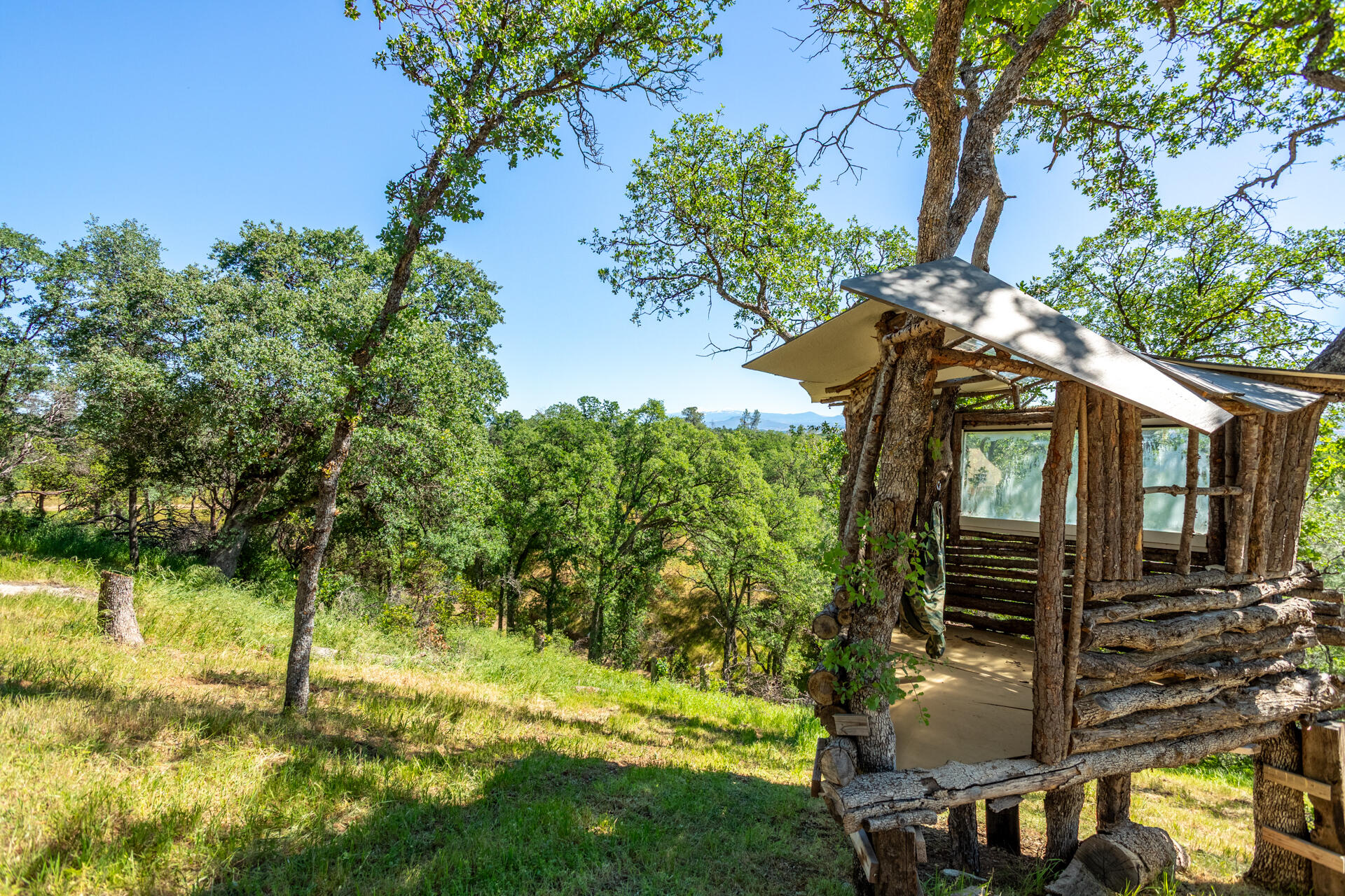 21100 Doe Run Way Red Bluff, CA 96080 - Photo 65 of 93 Treehouse