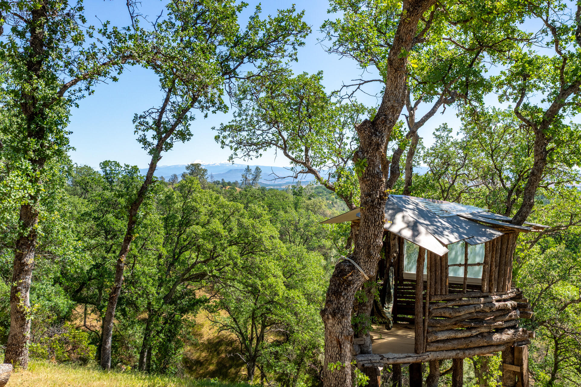 21100 Doe Run Way Red Bluff, CA 96080 - Photo 66 of 93 Treehouse