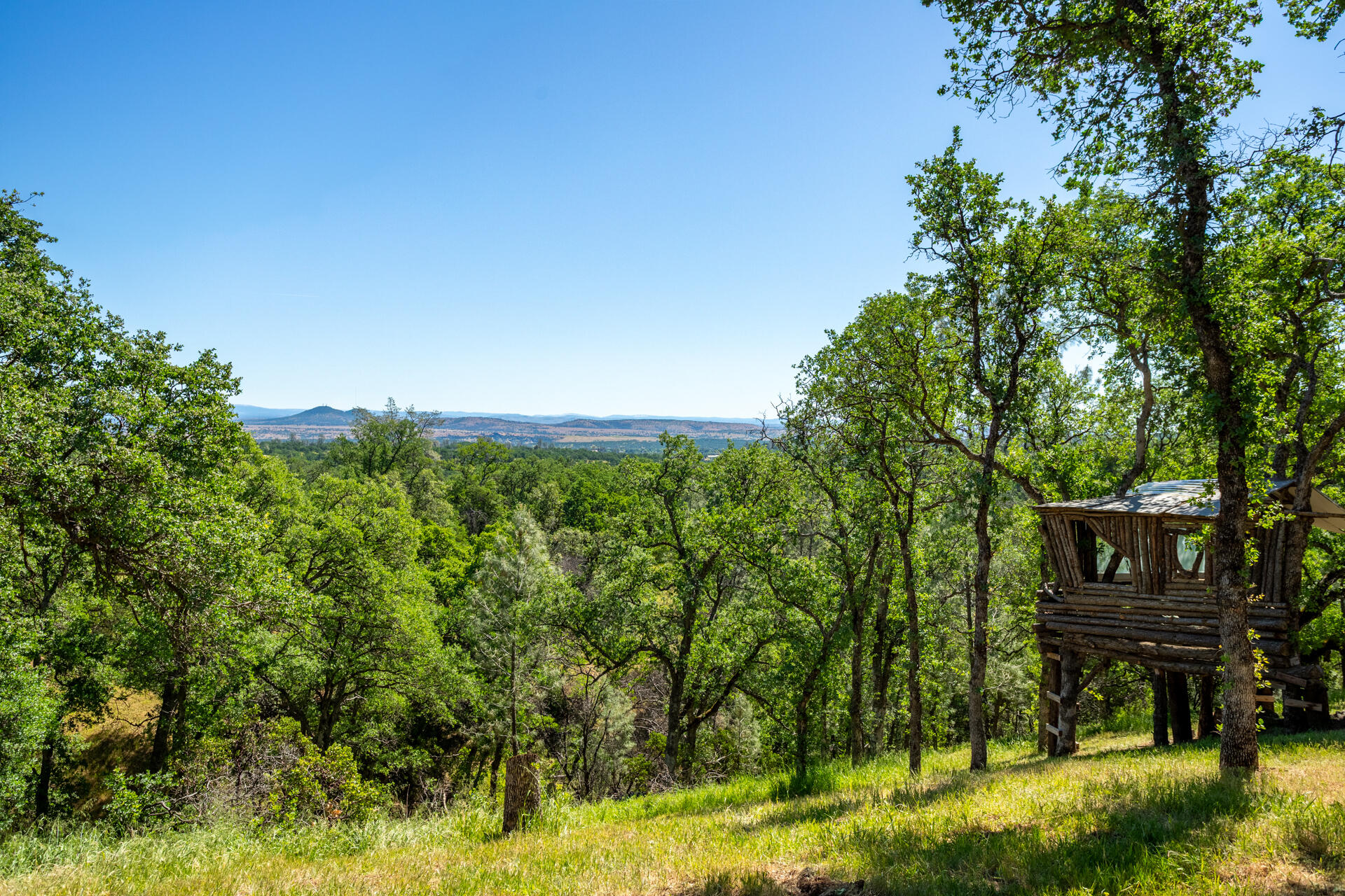 21100 Doe Run Way Red Bluff, CA 96080 - Photo 67 of 93 Treehouse