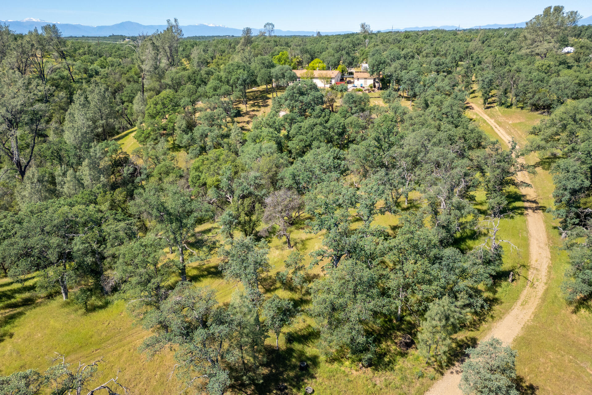 21100 Doe Run Way Red Bluff, CA 96080 - Photo 69 of 93 a view of a forest with an outdoor space