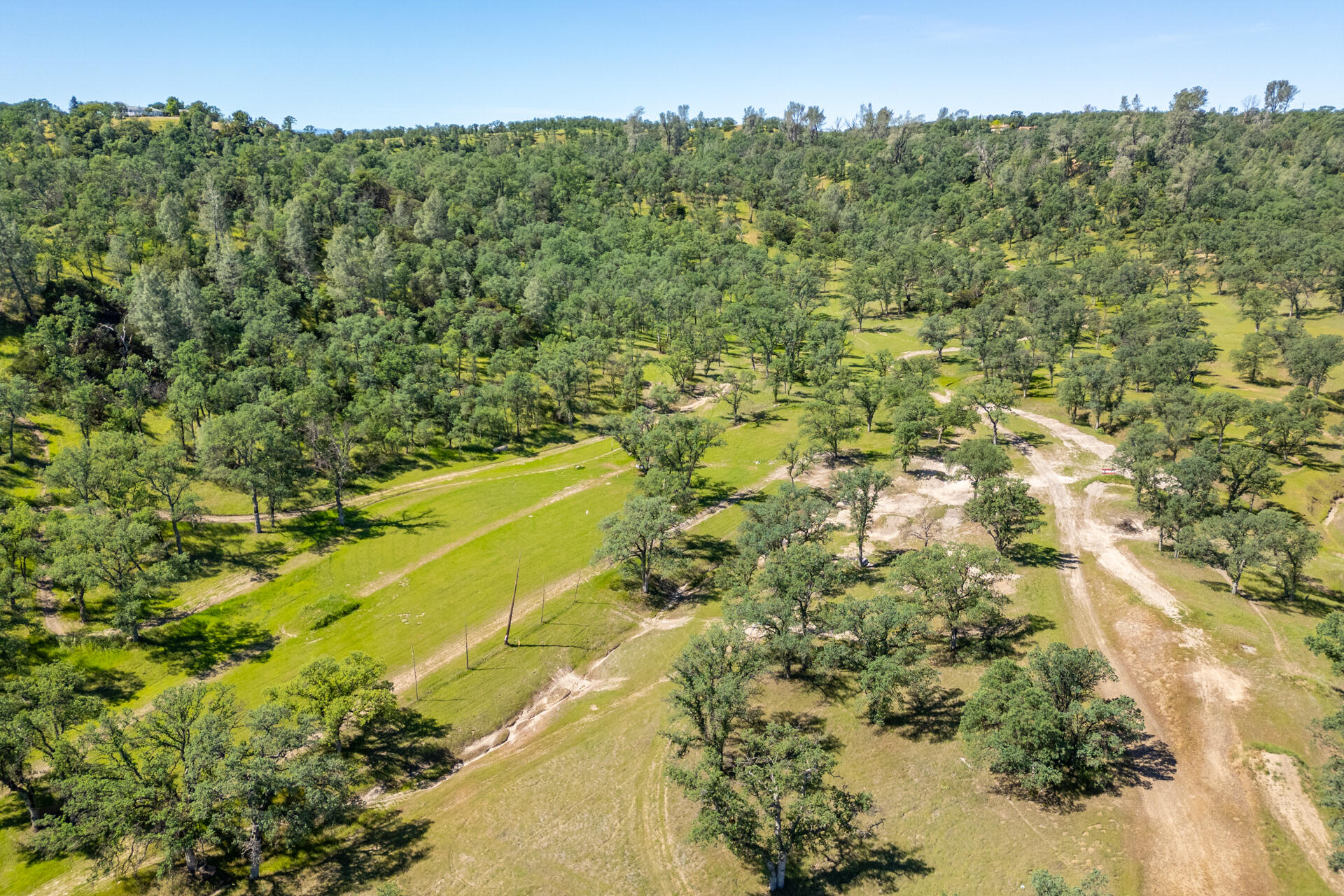 21100 Doe Run Way Red Bluff, CA 96080 - Photo 72 of 93 a view of a yard