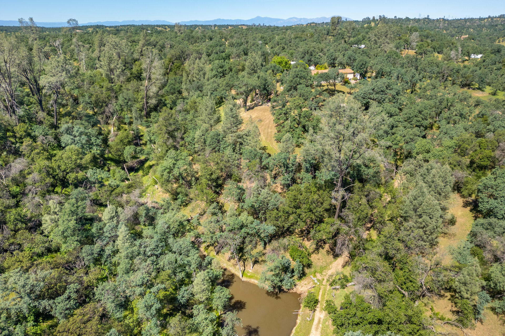 21100 Doe Run Way Red Bluff, CA 96080 - Photo 74 of 93 view/ seasonal pond
