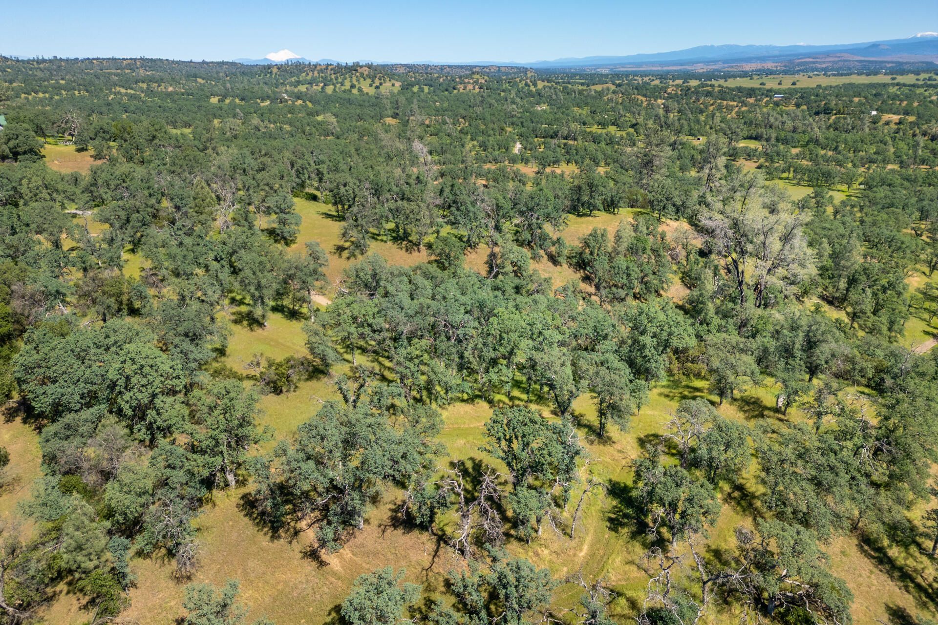 21100 Doe Run Way Red Bluff, CA 96080 - Photo 77 of 93 view/land