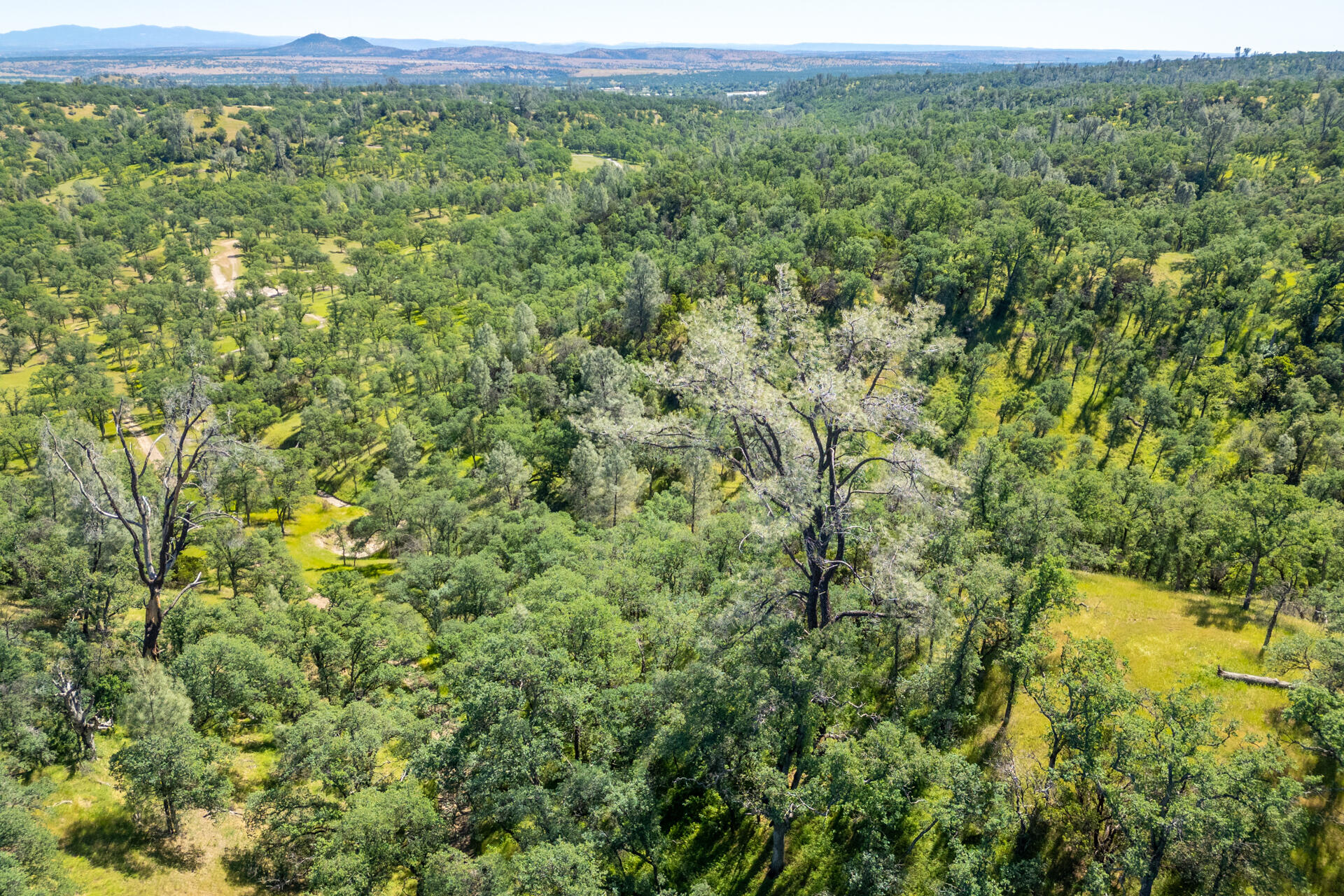 21100 Doe Run Way Red Bluff, CA 96080 - Photo 78 of 93 land