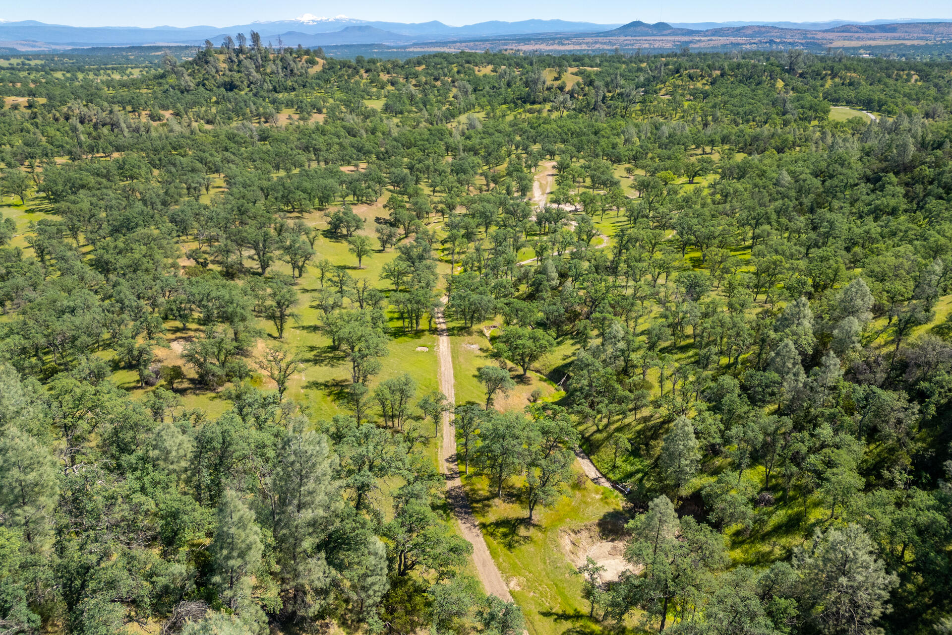 21100 Doe Run Way Red Bluff, CA 96080 - Photo 79 of 93 land
