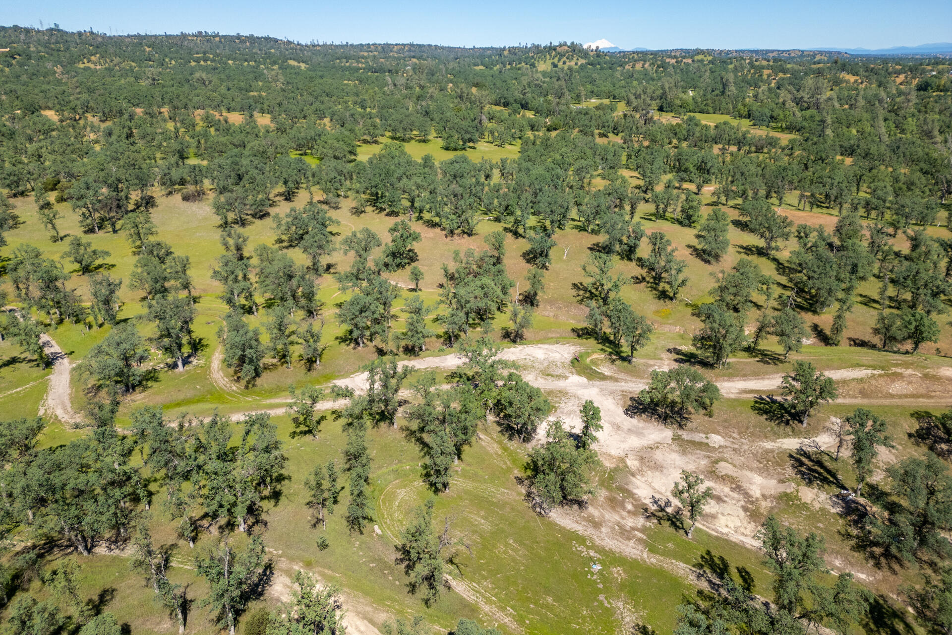 21100 Doe Run Way Red Bluff, CA 96080 - Photo 80 of 93 a view of a green field with lots of trees in the background