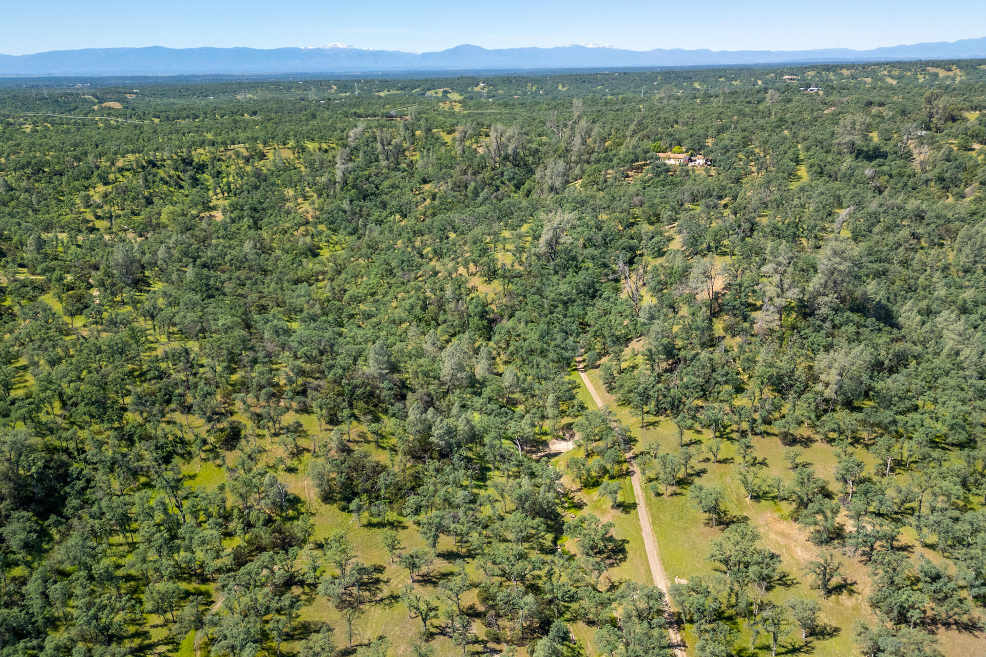 21100 Doe Run Way Red Bluff, CA 96080 - Photo 82 of 93 land