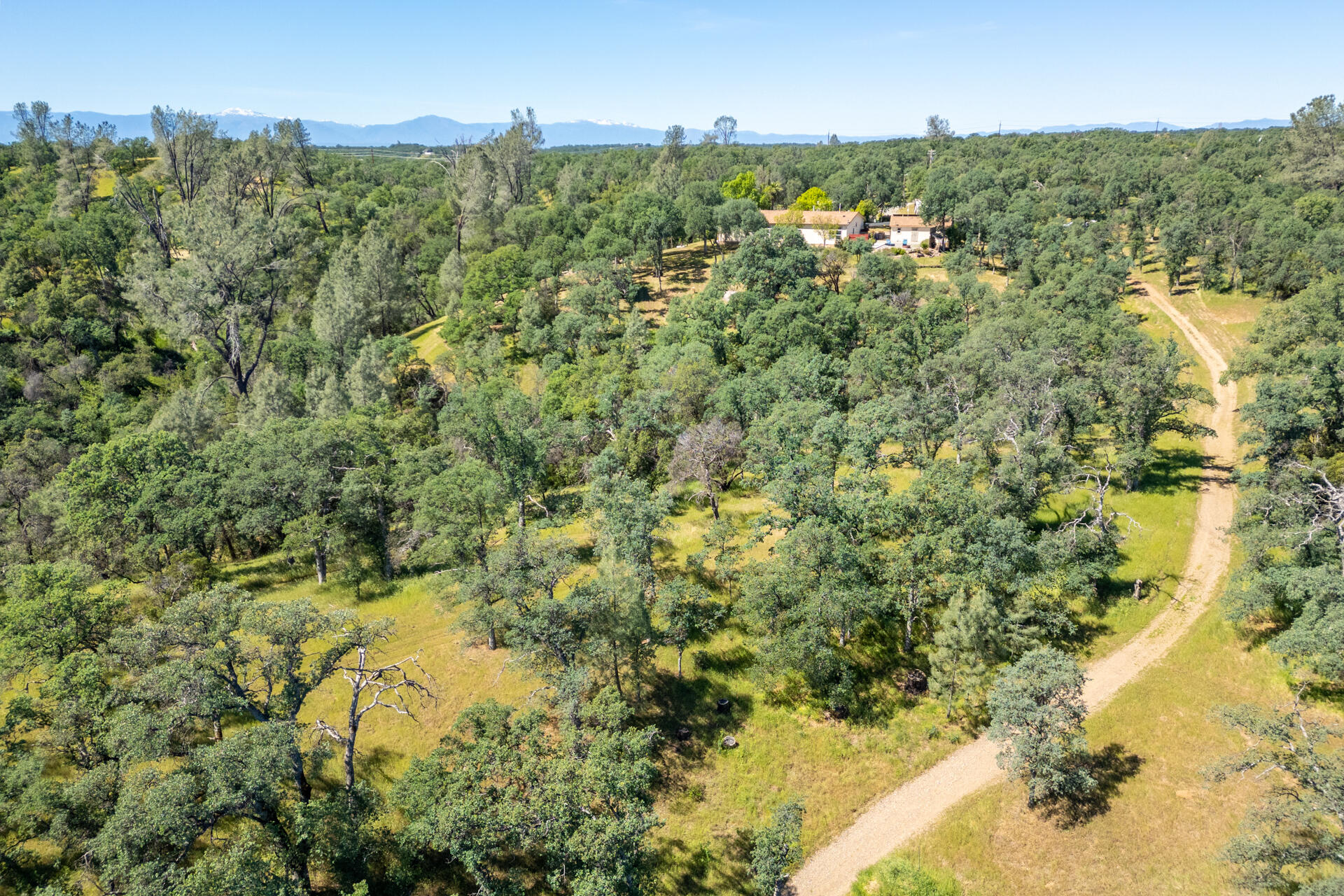 21100 Doe Run Way Red Bluff, CA 96080 - Photo 85 of 93 Back road to lower property