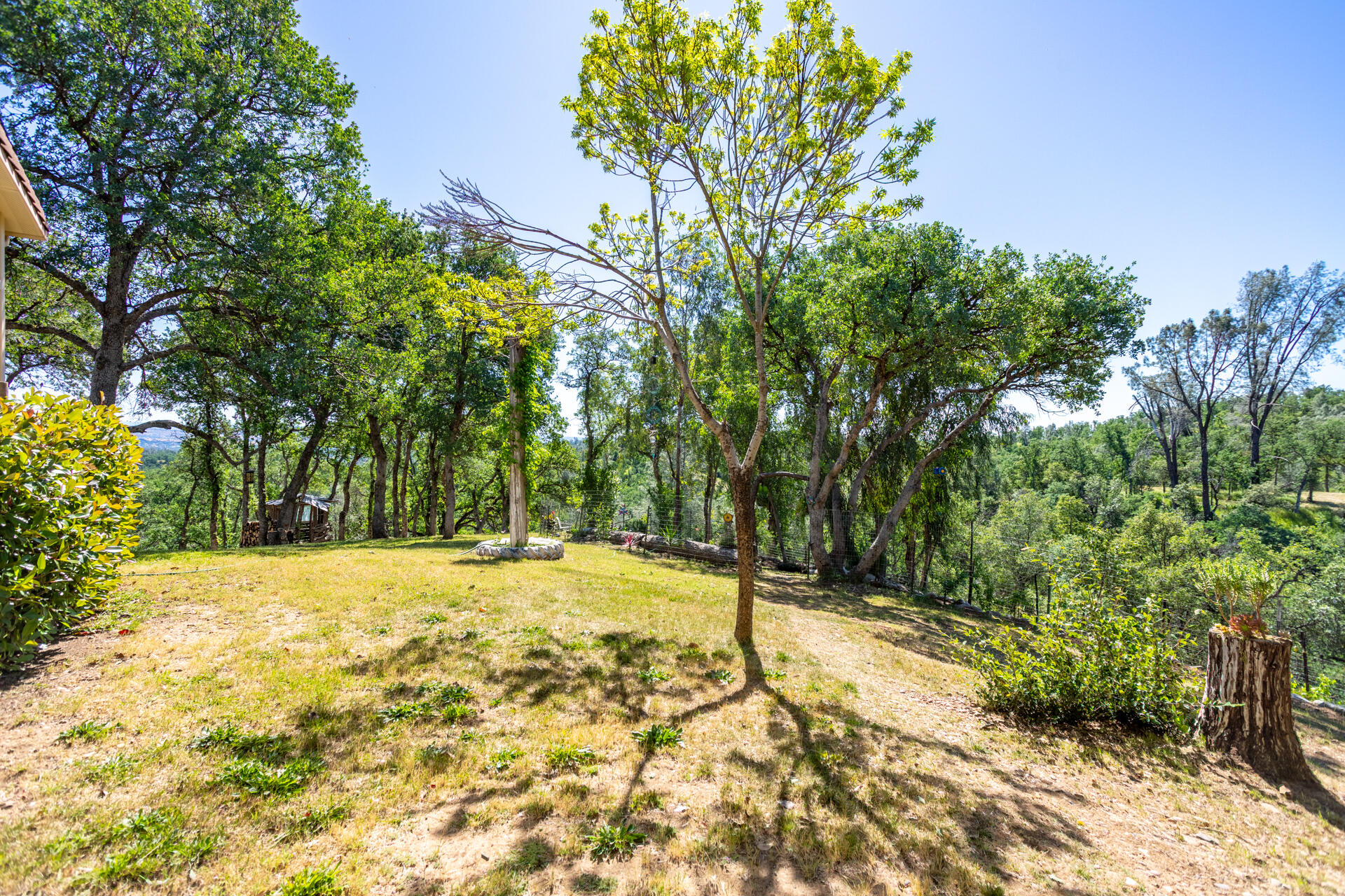 21100 Doe Run Way Red Bluff, CA 96080 - Photo 89 of 93 Yard