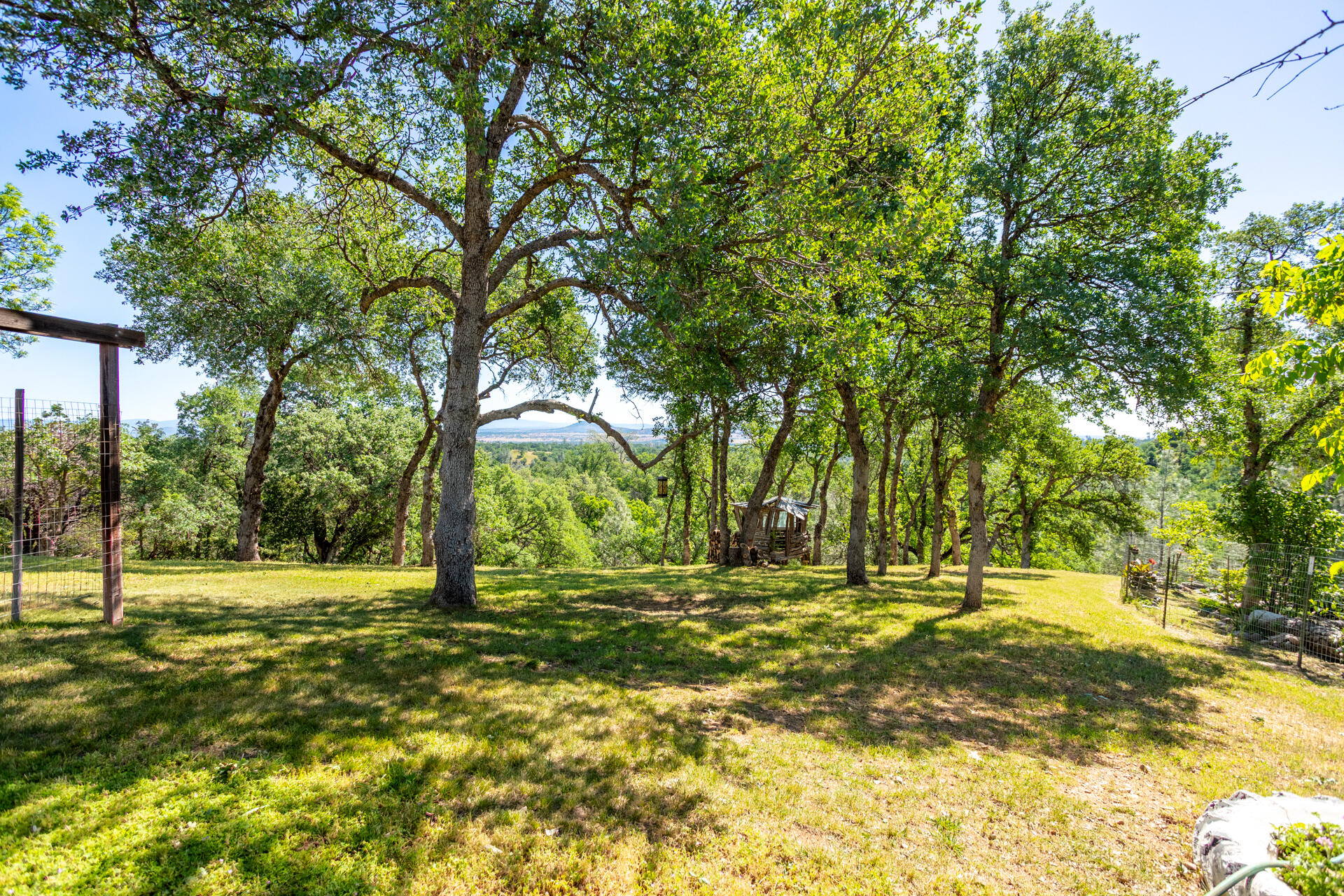 21100 Doe Run Way Red Bluff, CA 96080 - Photo 90 of 93 a view of outdoor space with trees all around