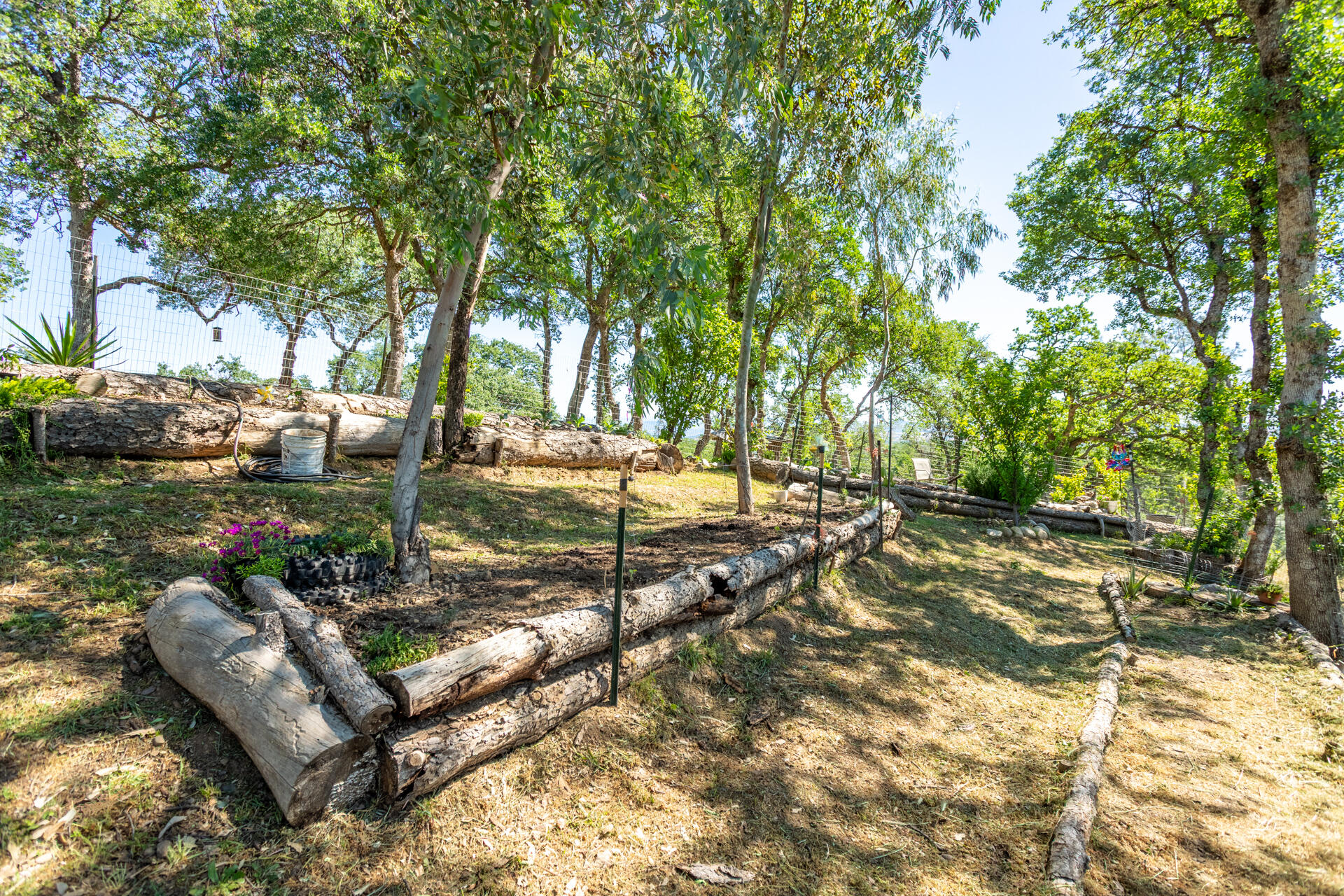 21100 Doe Run Way Red Bluff, CA 96080 - Photo 91 of 93 Garden area