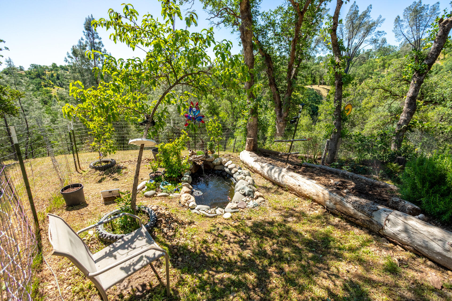21100 Doe Run Way Red Bluff, CA 96080 - Photo 92 of 93 small solar pond with fish