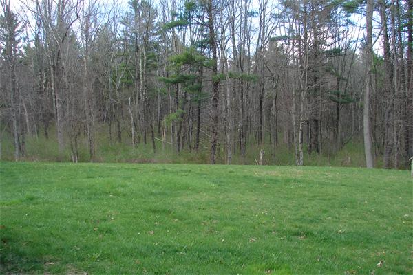 49 Old Gilbertville Road Ware, MA 01082 - Photo 24 of 25 a view of a lush green space