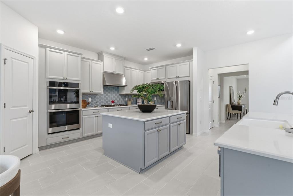 33774 Castaway Loop Wesley Chapel, FL 33543 - Photo 13 of 87