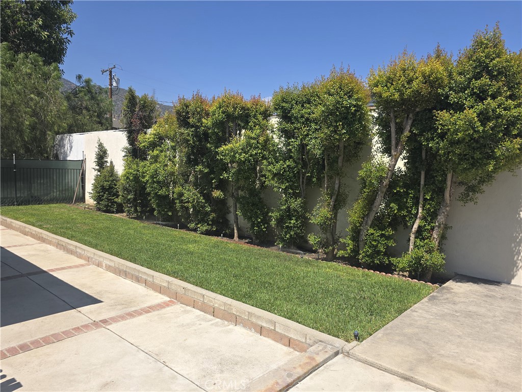 868 Random Lane Duarte, CA 91010 - Photo 15 of 22 a view of a park with large trees