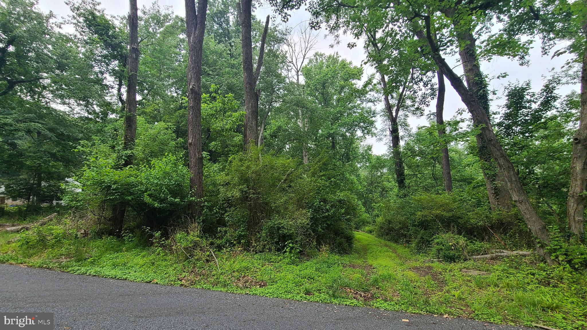 Lot 0 Carversville Road Doylestown, PA 18902 - Photo 1 of 1 Gallery Image 1