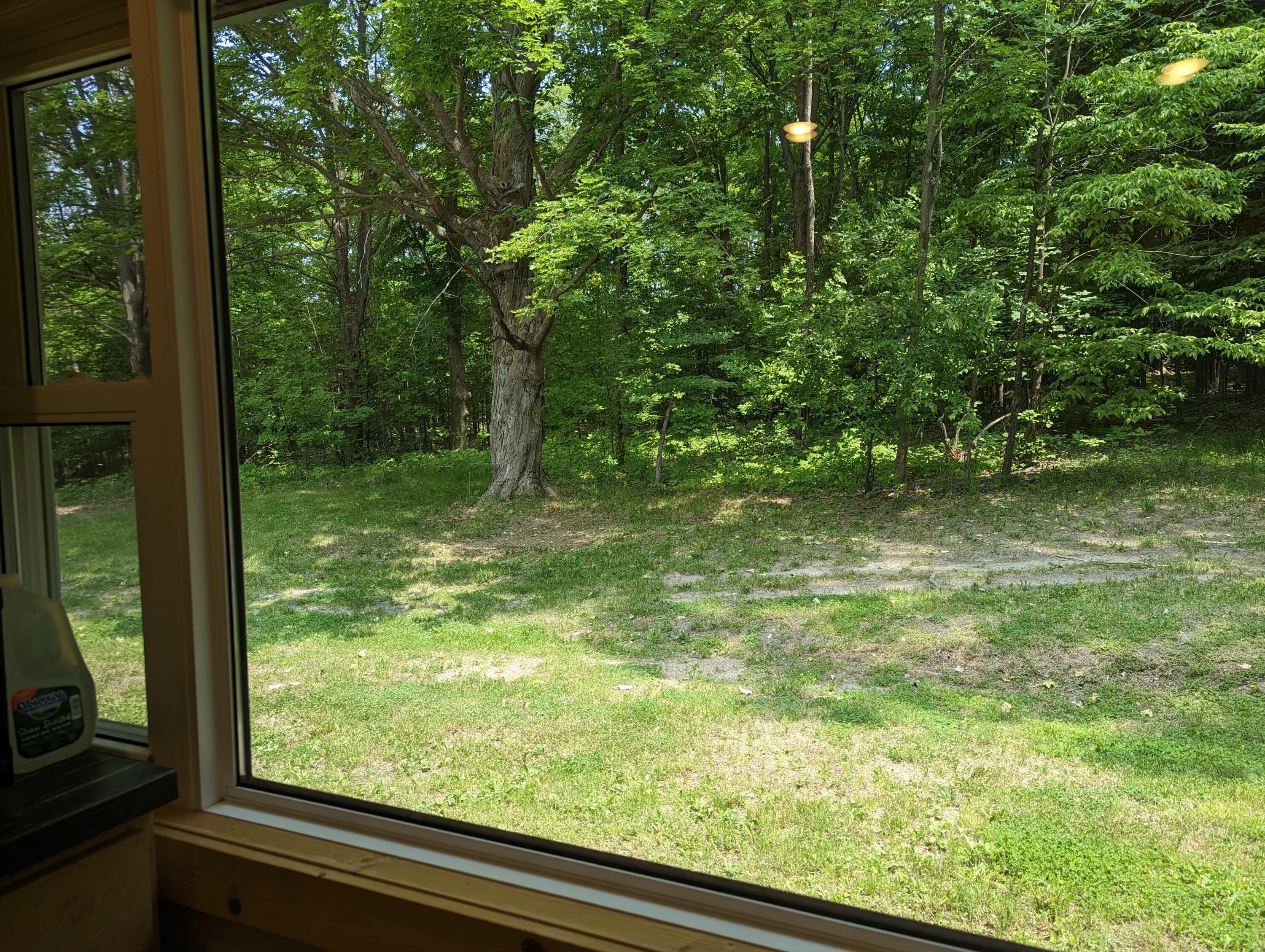 2594 Campbell Road Comins, MI 48619 - Photo 51 of 75 Gallery Image 51
