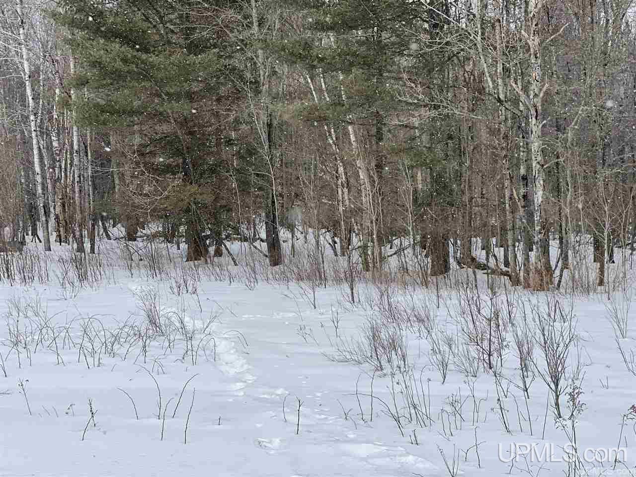 6302 W Krummich Road Manistique, MI 49854 - Photo 8 of 13