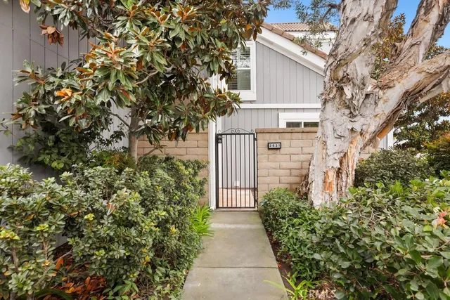 a view of a pathway with plants and large trees