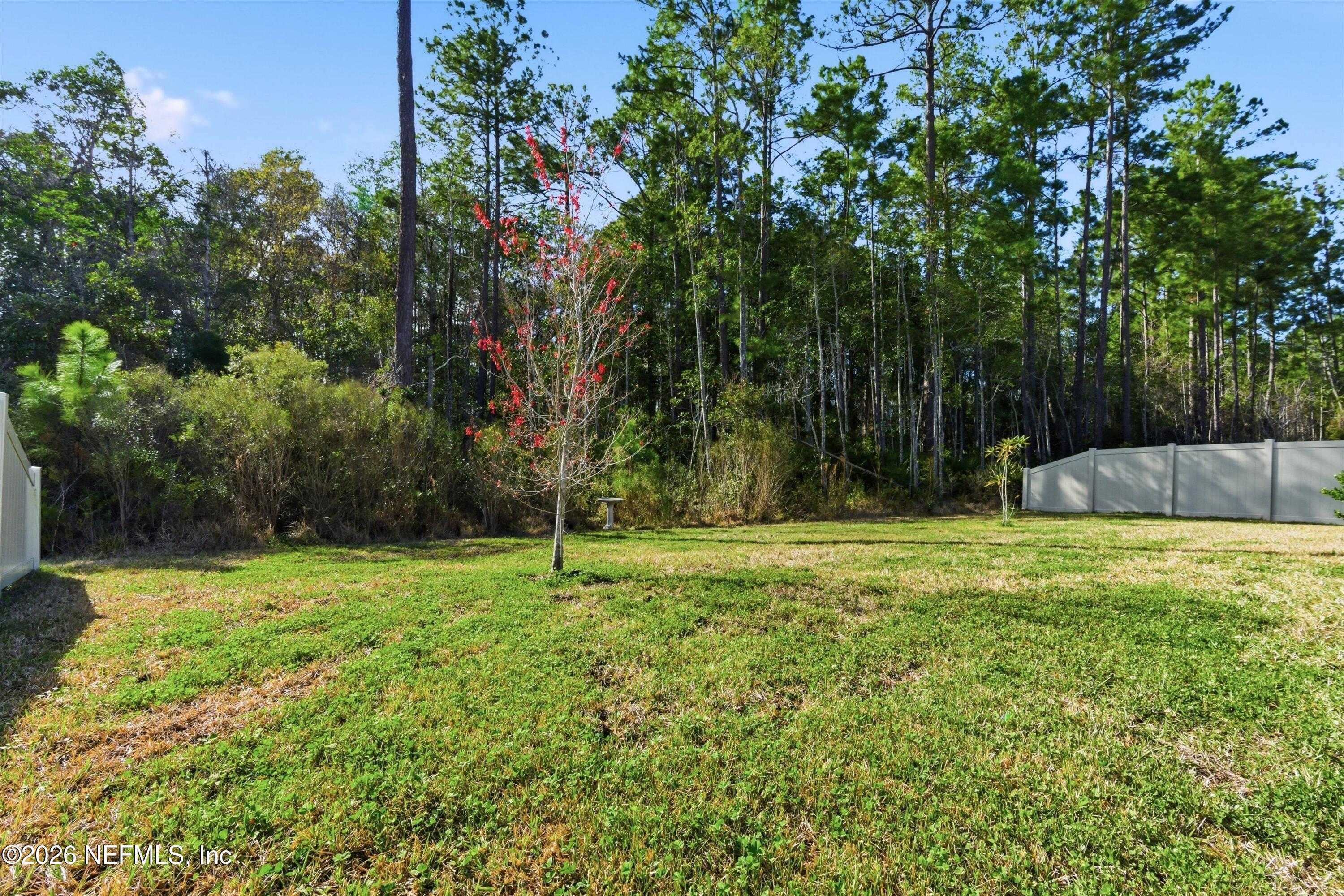 65672 Edgewater Drive Yulee, FL 32097 - Photo 23 of 36 Backyard