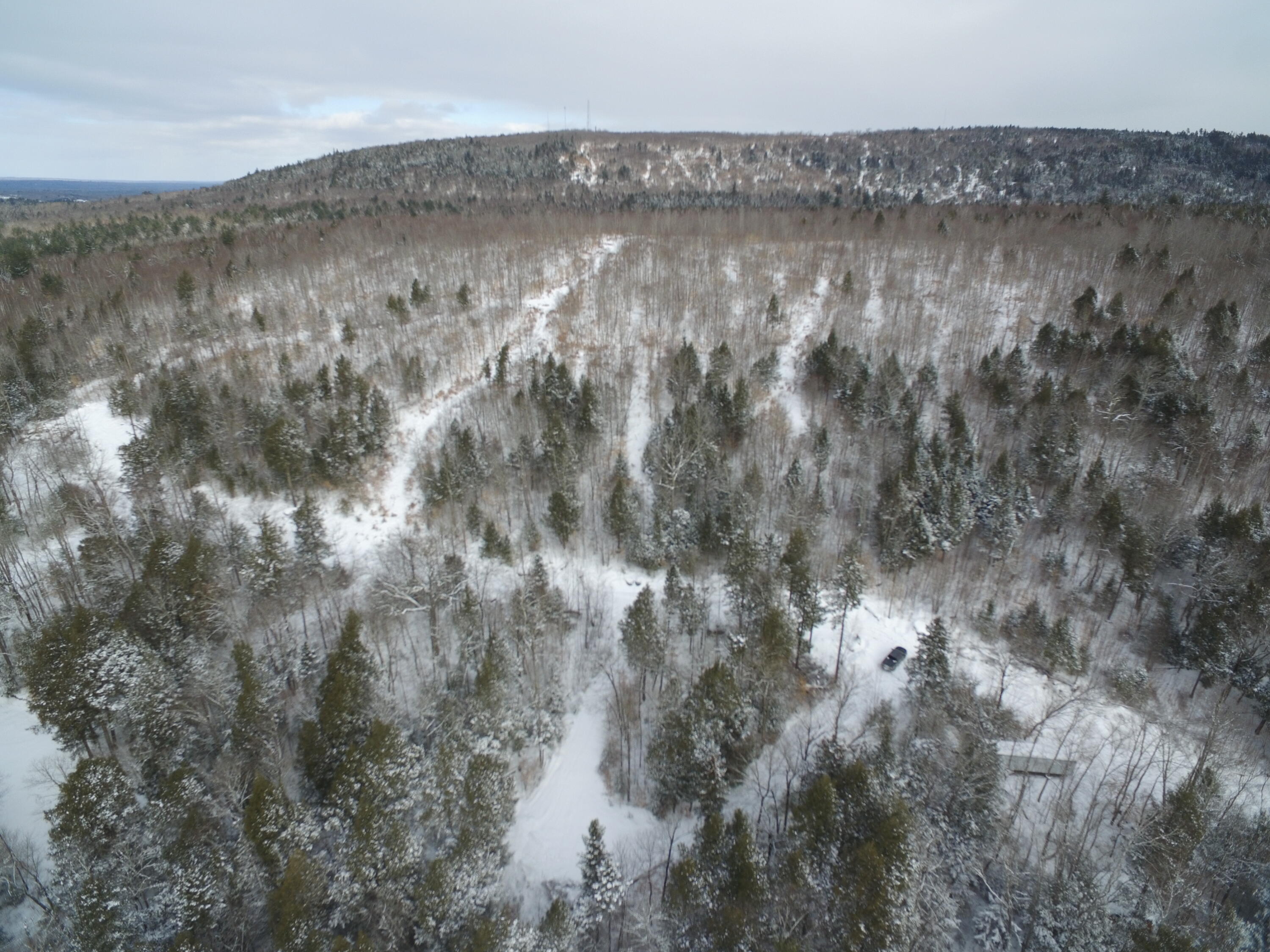 37.41 Acres Houston Road Lincoln, ME 04457 - Photo 24 of 29 DJI_0135
