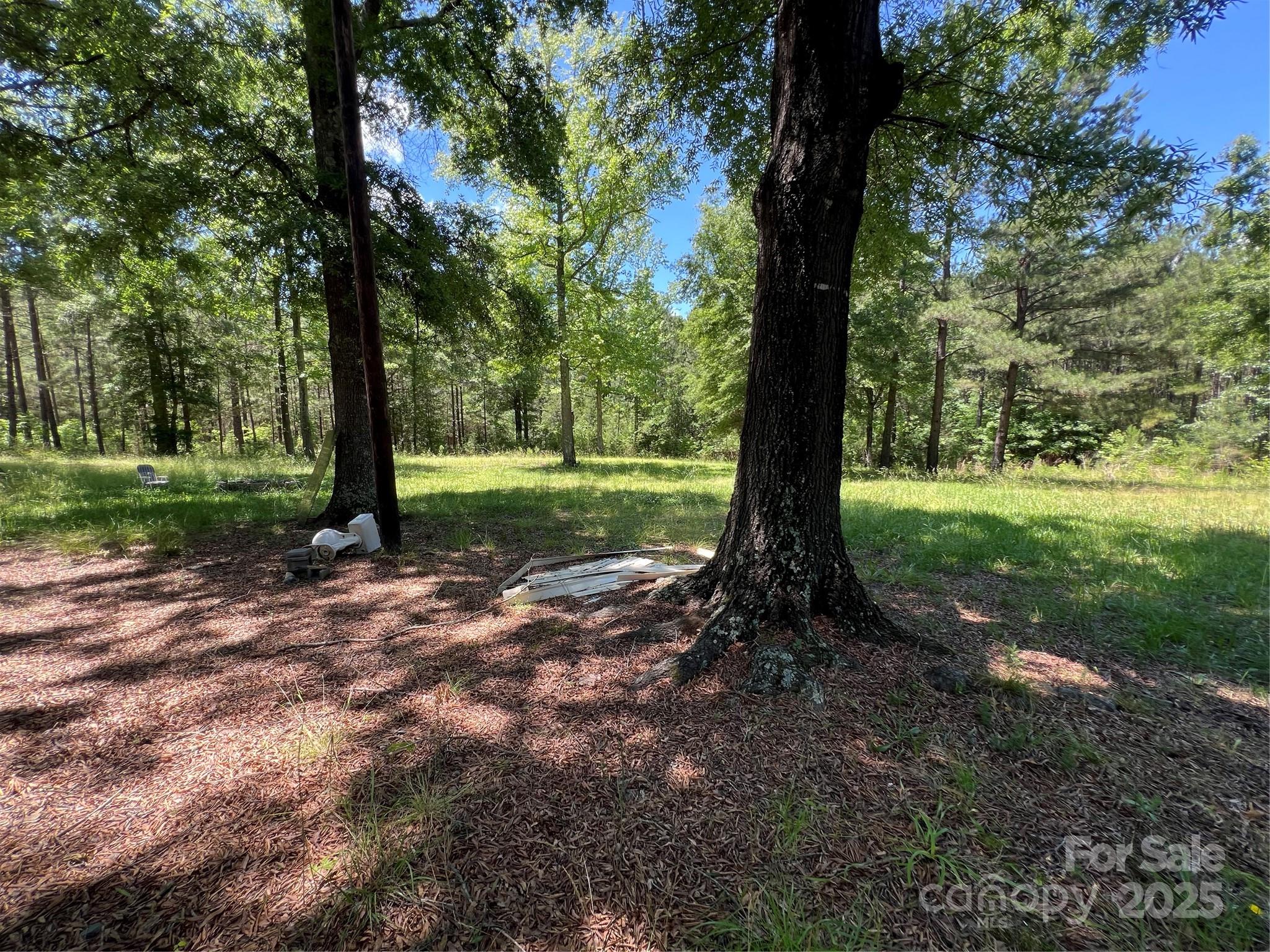 5655 Shirley Road Fort Lawn, SC 29714 - Photo 19 of 23 a view of a yard with a tree