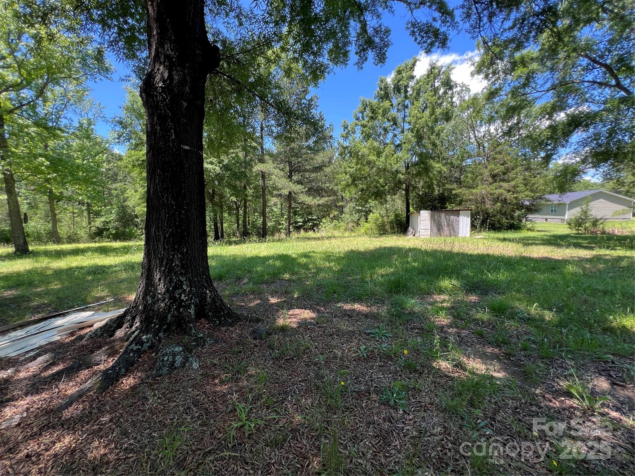 5655 Shirley Road Fort Lawn, SC 29714 - Photo 20 of 23 a view of a trees with a yard