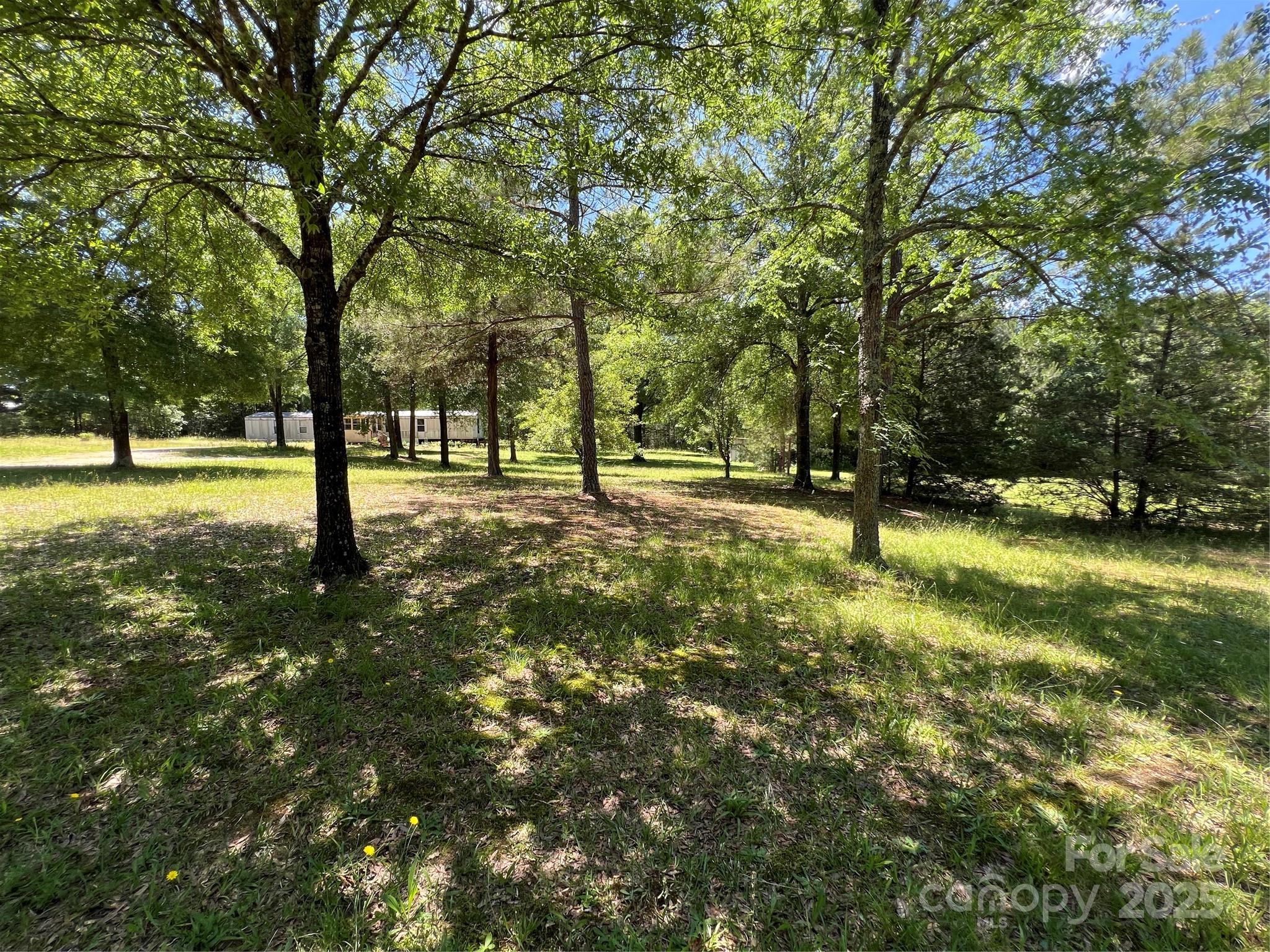 5655 Shirley Road Fort Lawn, SC 29714 - Photo 2 of 23 a view of yard with green space and trees