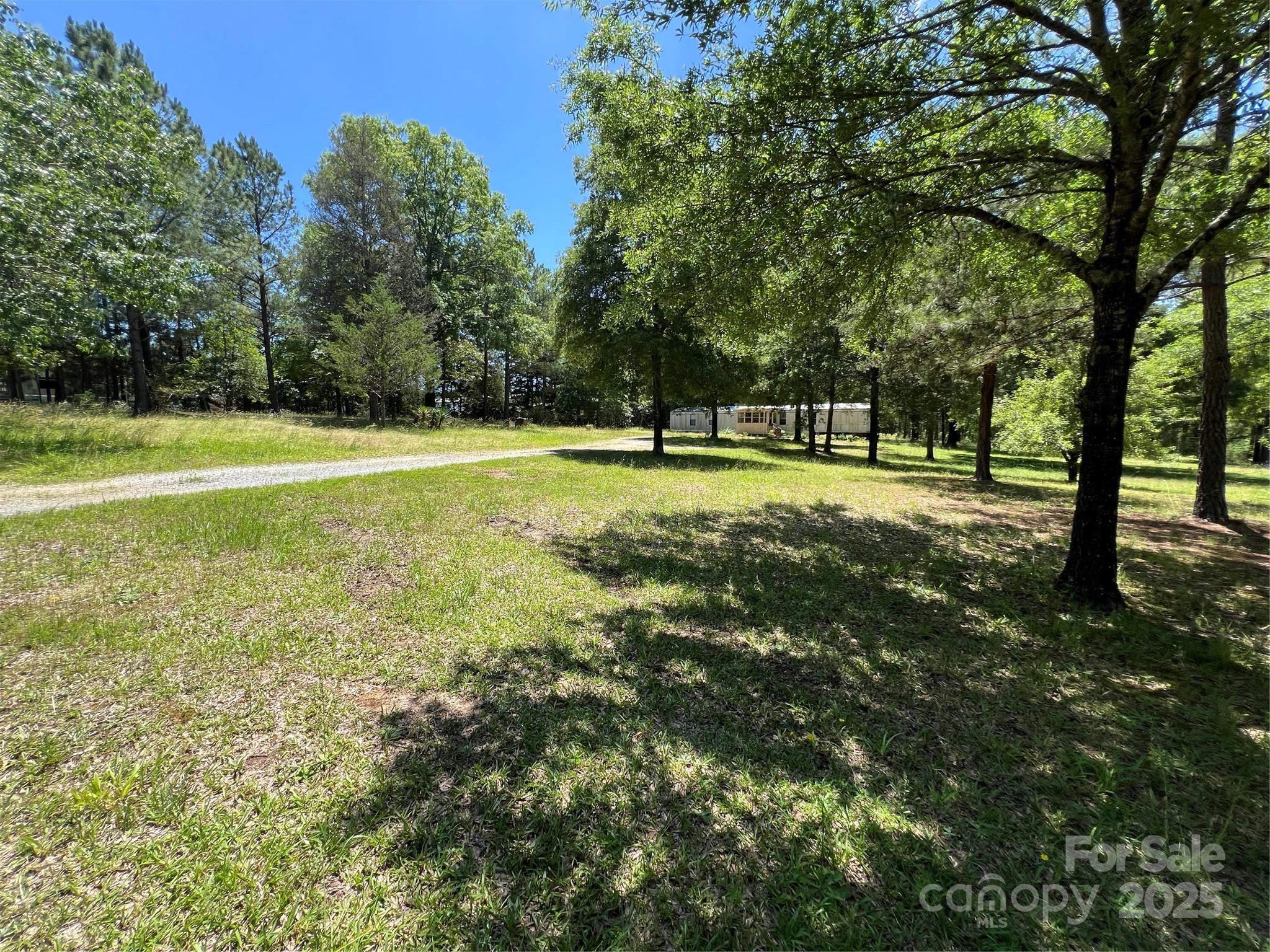 5655 Shirley Road Fort Lawn, SC 29714 - Photo 3 of 23 a view of a big yard with large trees
