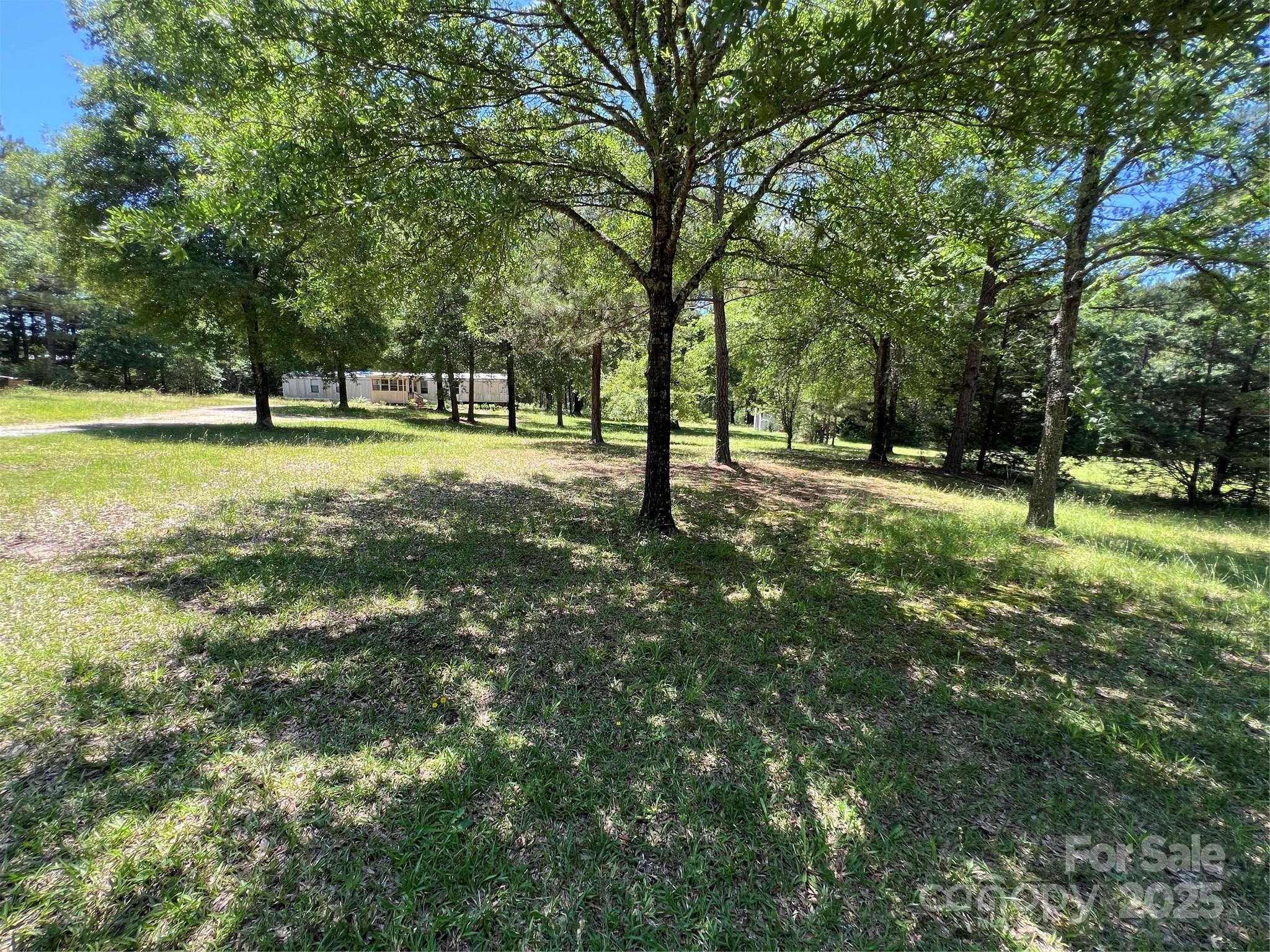 5655 Shirley Road Fort Lawn, SC 29714 - Photo 4 of 23 a view of a tree in a yard