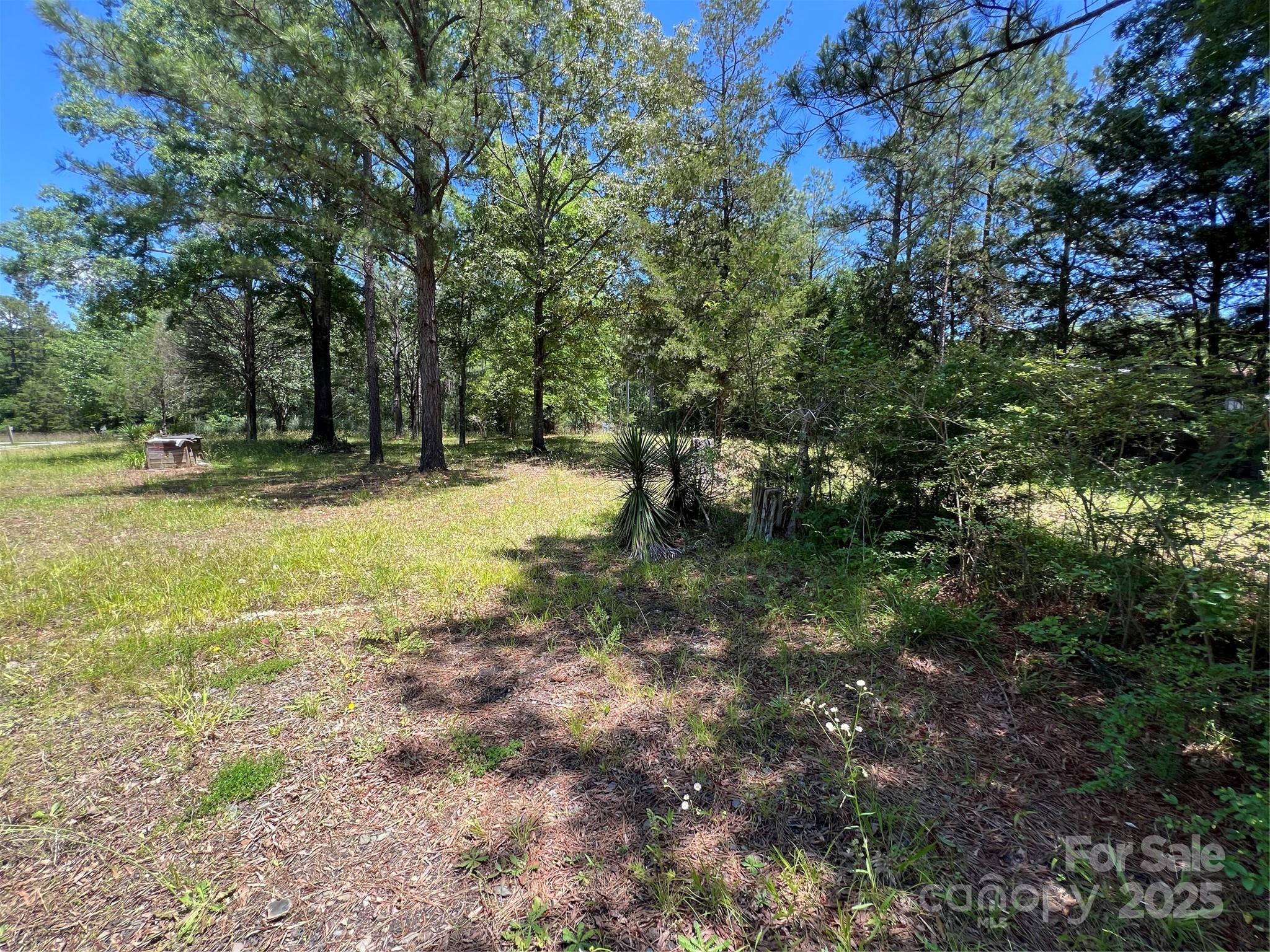 5655 Shirley Road Fort Lawn, SC 29714 - Photo 6 of 23 a view of a yard with trees
