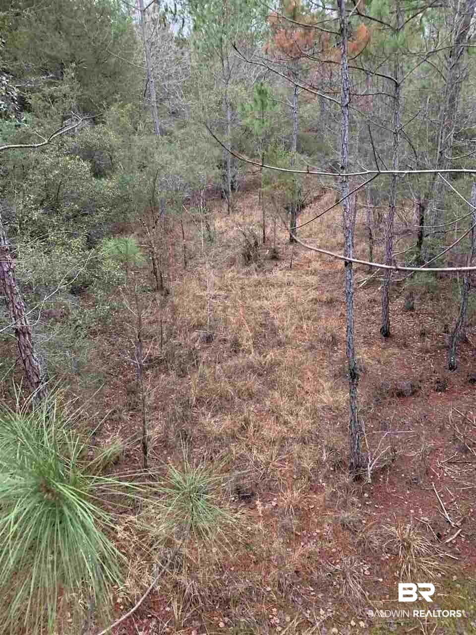 River Road Robertsdale, AL 36567 - Photo 27 of 40 Gallery Image 27
