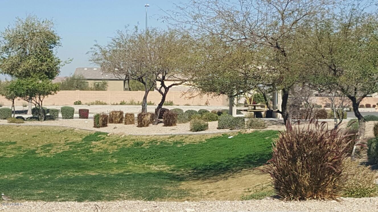1209 West Fremont Rd. Phoenix, AZ 85041 - Photo 14 of 27 PARK PIC 3
