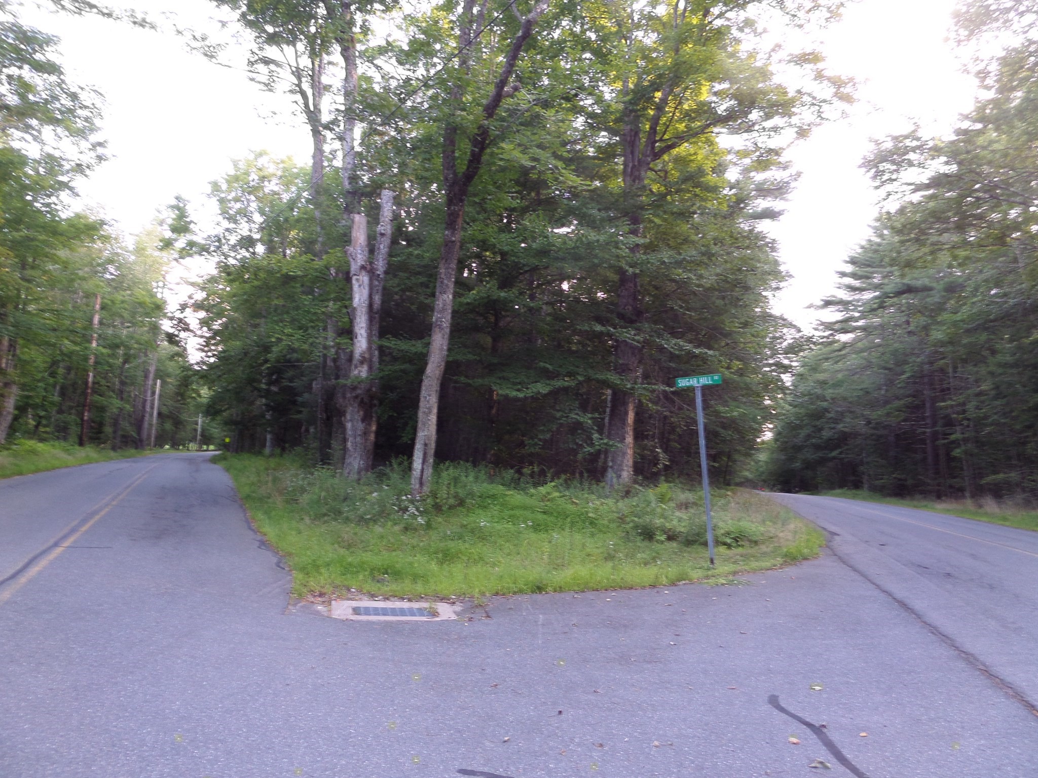 0 Damon Pond Road Chesterfield, MA 01012 - Photo 3 of 7 Gallery Image 3