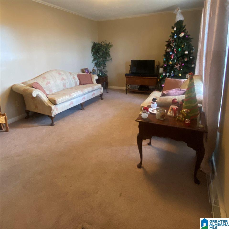 60 Payne Road Empire, AL 35063 - Photo 16 of 17