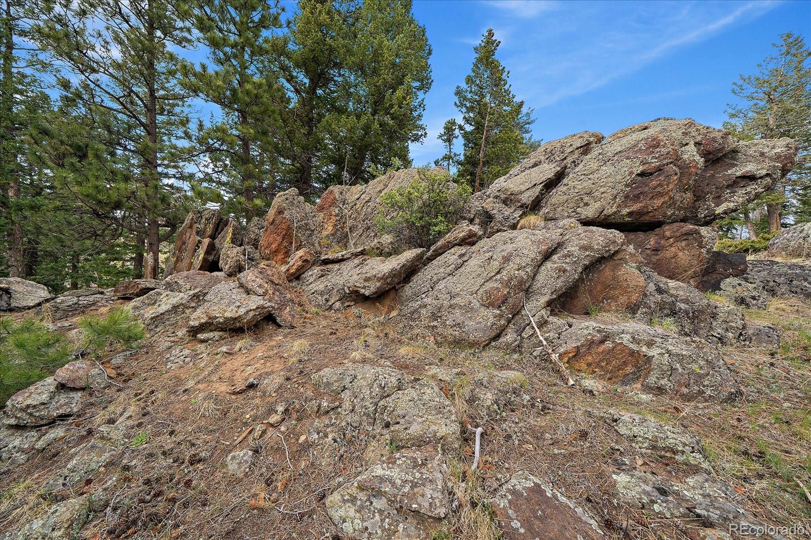 81 Raccoon Circle Evergreen, CO 80439 - Photo 45 of 50