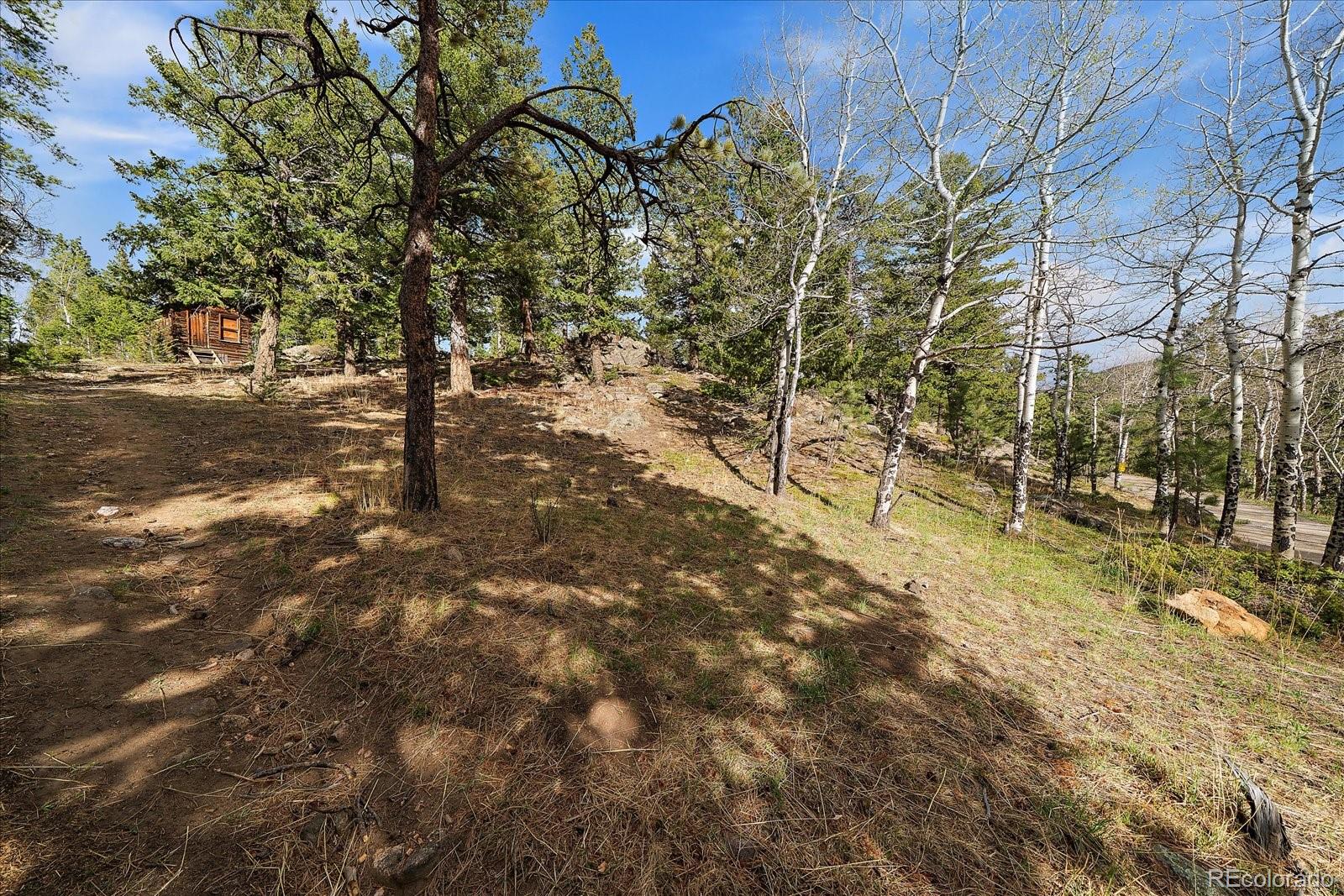 81 Raccoon Circle Evergreen, CO 80439 - Photo 47 of 50