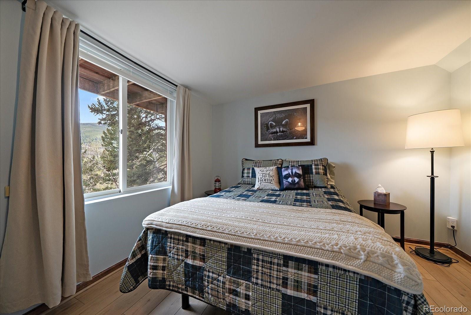 81 Raccoon Circle Evergreen, CO 80439 - Photo 6 of 50