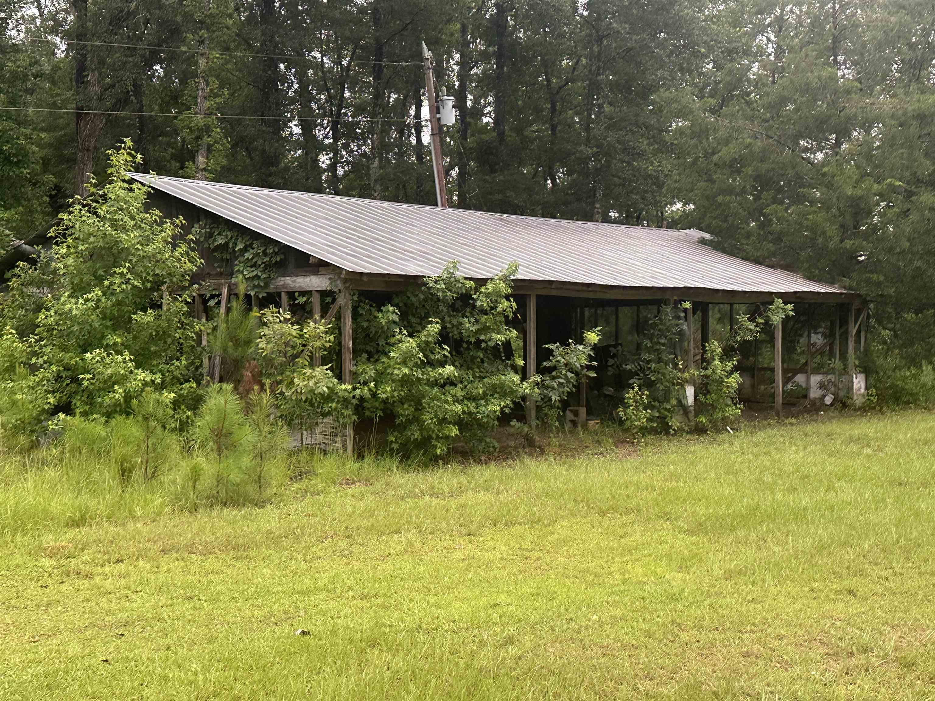 289 Persimmon Road Sopchoppy, FL 32358 - Photo 18 of 19