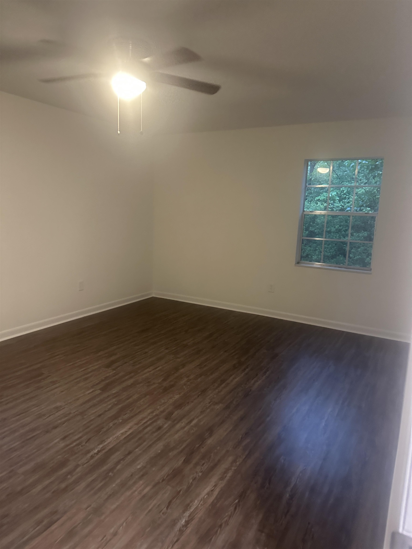 289 Persimmon Road Sopchoppy, FL 32358 - Photo 6 of 19