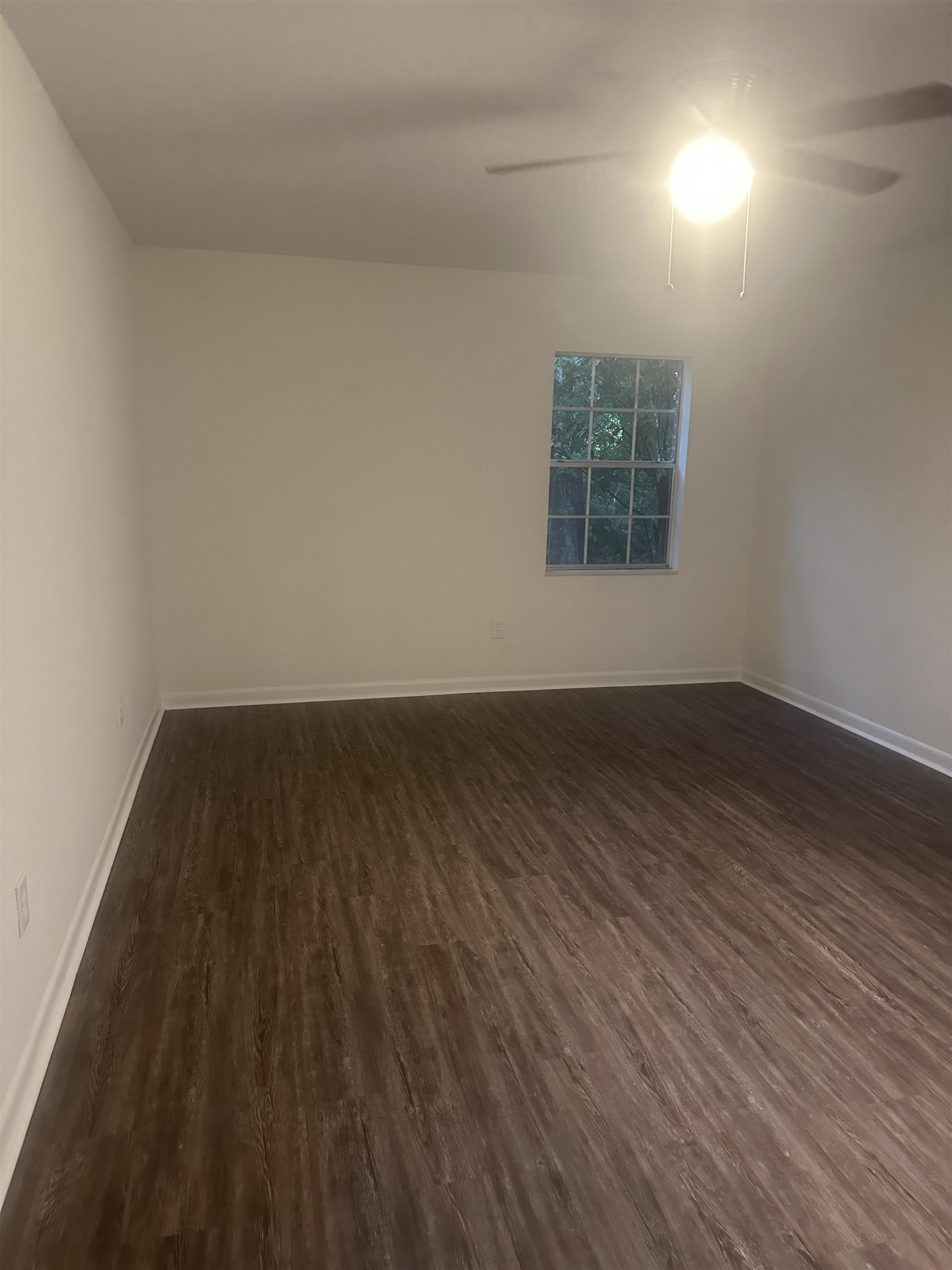 289 Persimmon Road Sopchoppy, FL 32358 - Photo 10 of 19