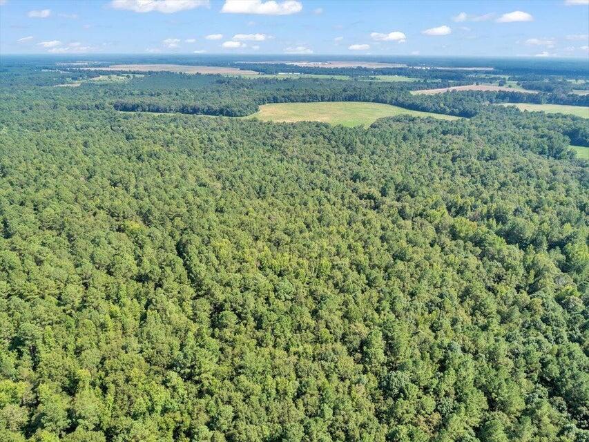 356 Massey-Doss Road Keysville, GA 30816 - Photo 13 of 73 20240904212121611934000000-o