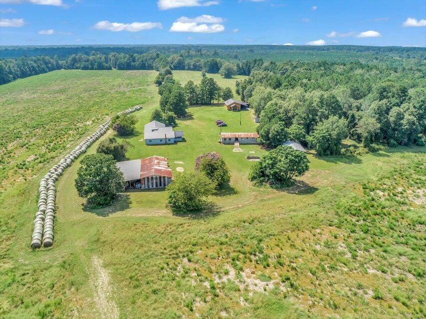 356 Massey-Doss Road Keysville, GA 30816 - Photo 4 of 73 20240904211807868146000000-o