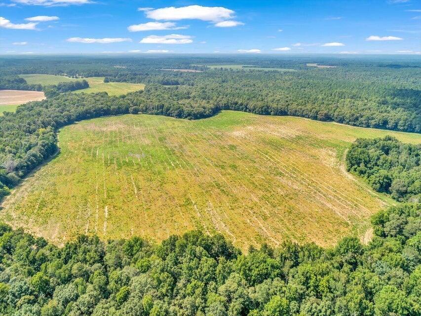 356 Massey-Doss Road Keysville, GA 30816 - Photo 10 of 73 20240904212121611816000000-o