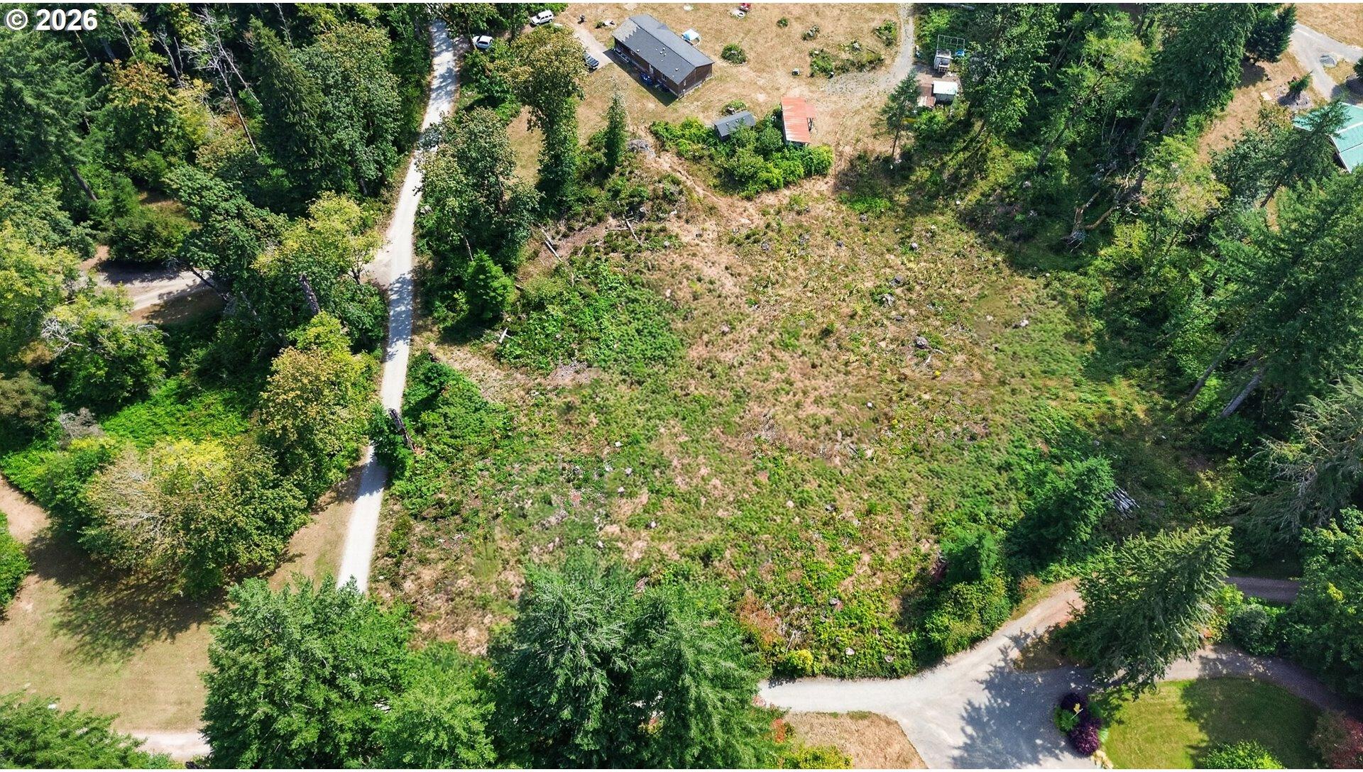 0 Dog Creek Road Cougar, WA 98616 - Photo 17 of 17 Gallery Image 17