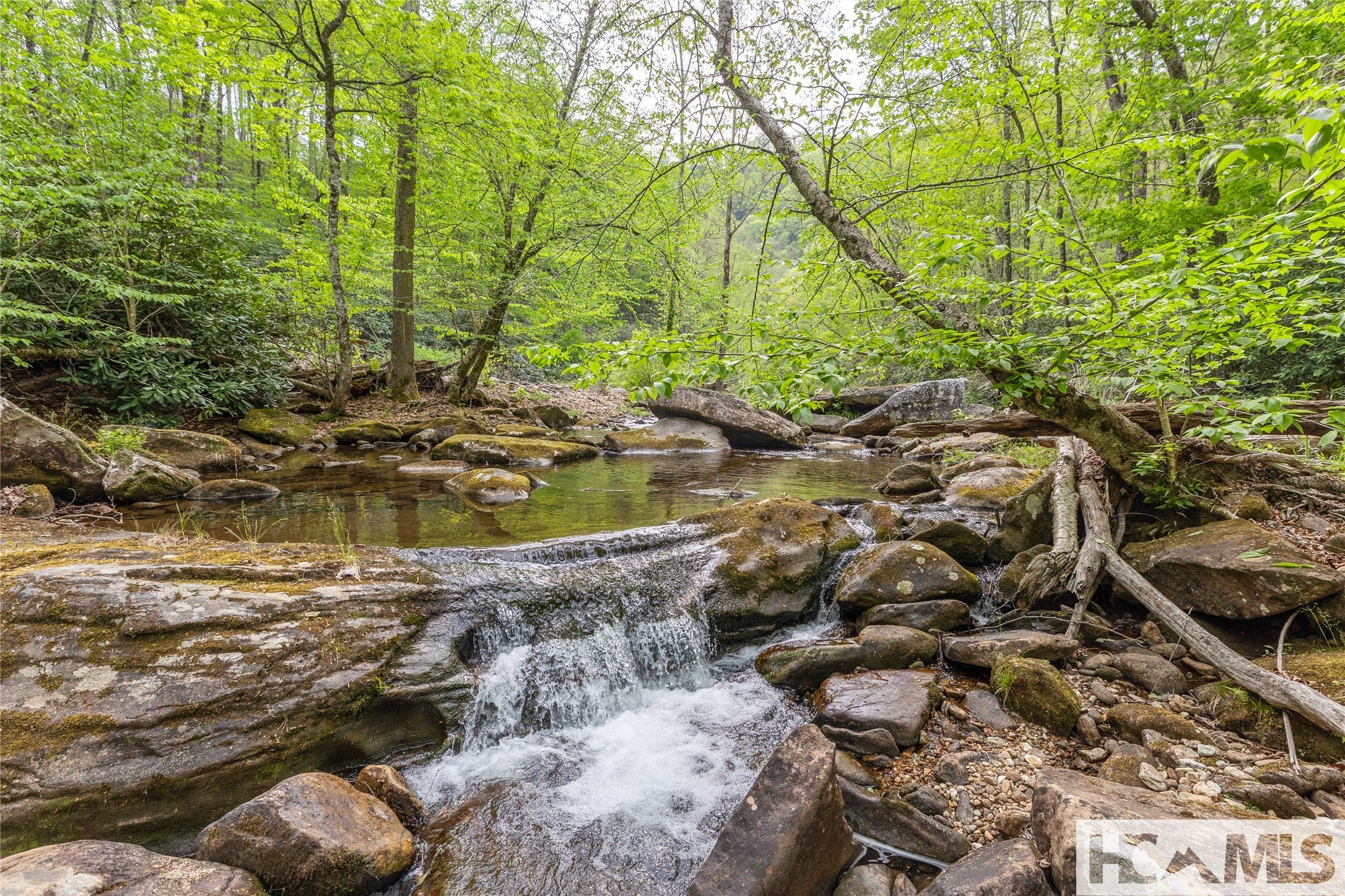 1701 Cullowhee Forest Road Cullowhee, NC 28723 - Photo 77 of 96 Gallery Image 77