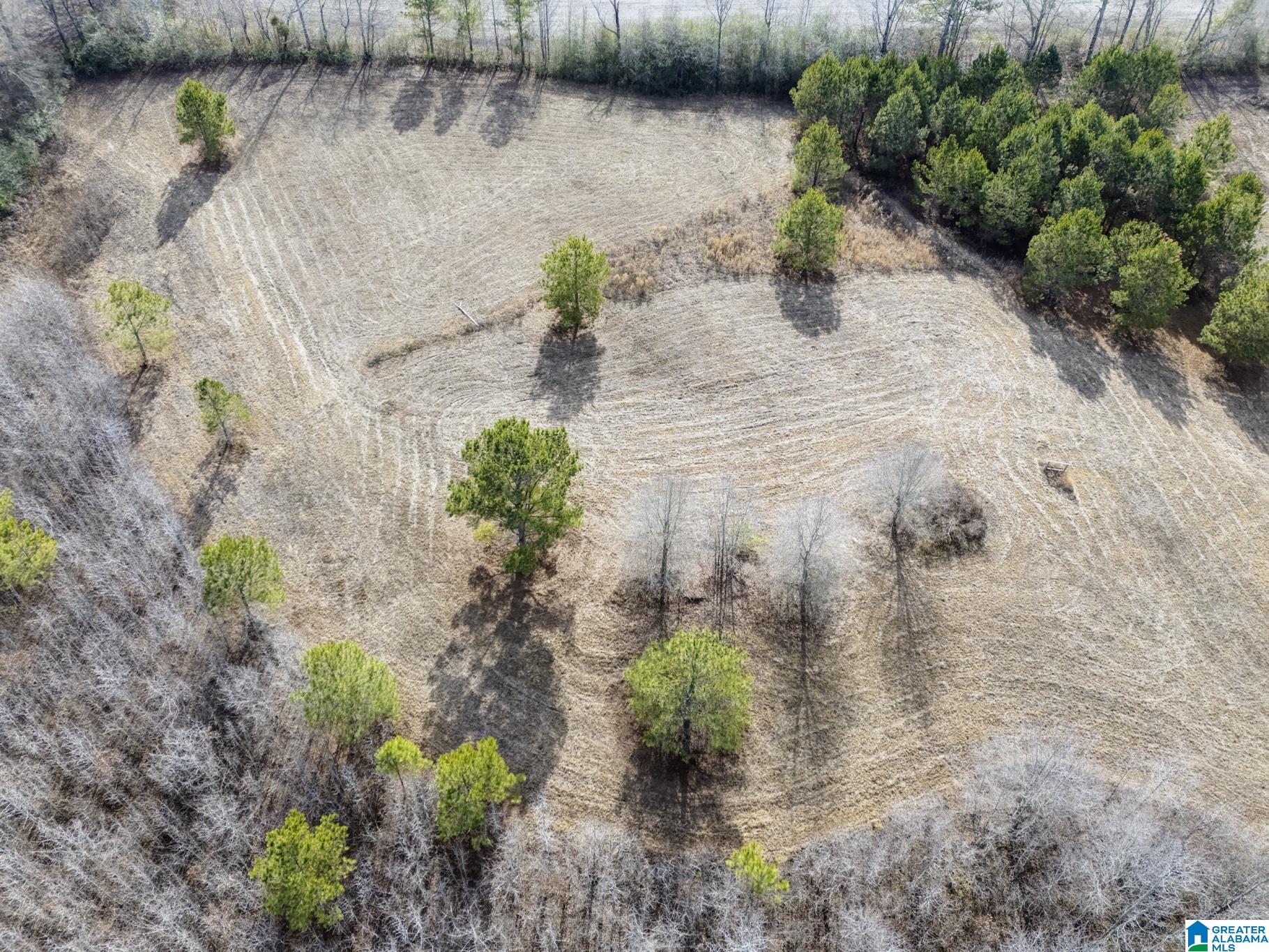 941 Hamm Road Blountsville, AL 35031 - Photo 63 of 67